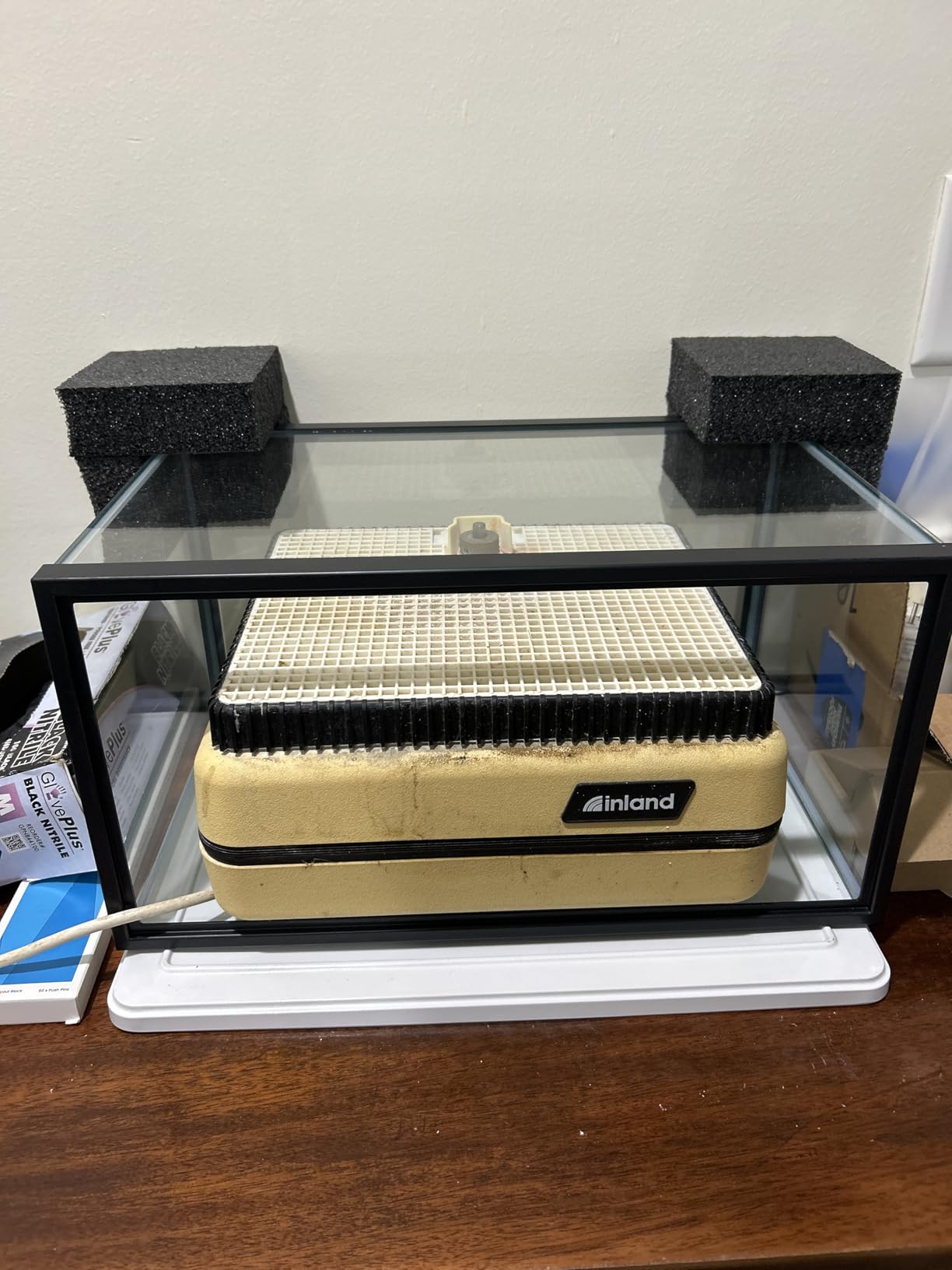 Tetra Glass Aquarium 55 Gallons, Rectangular Fish Tank (NV52018) customer photo 2