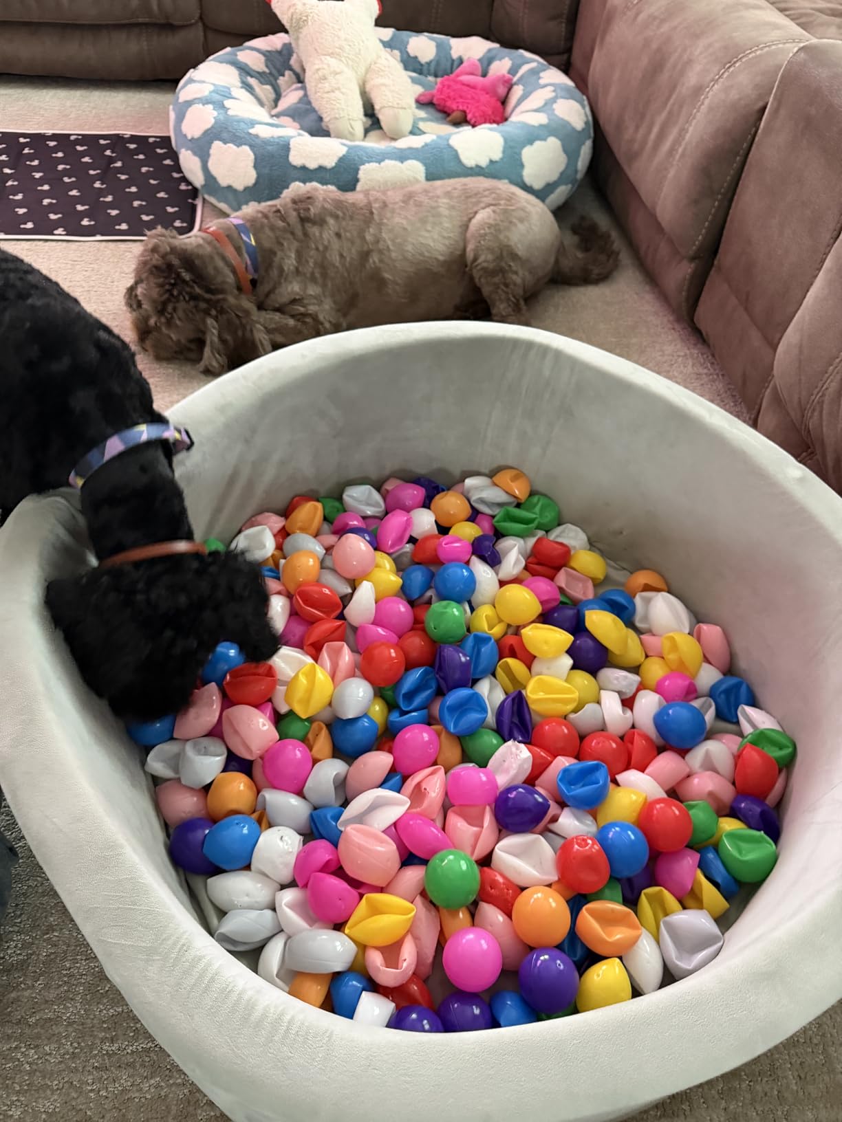 Hovenlay Ball Pit Balls Phthalate Free BPA Free Crush Proof Plastic - 7 Bright Colors in Reusable Play Toys for Kids with Storage Bag customer photo 1