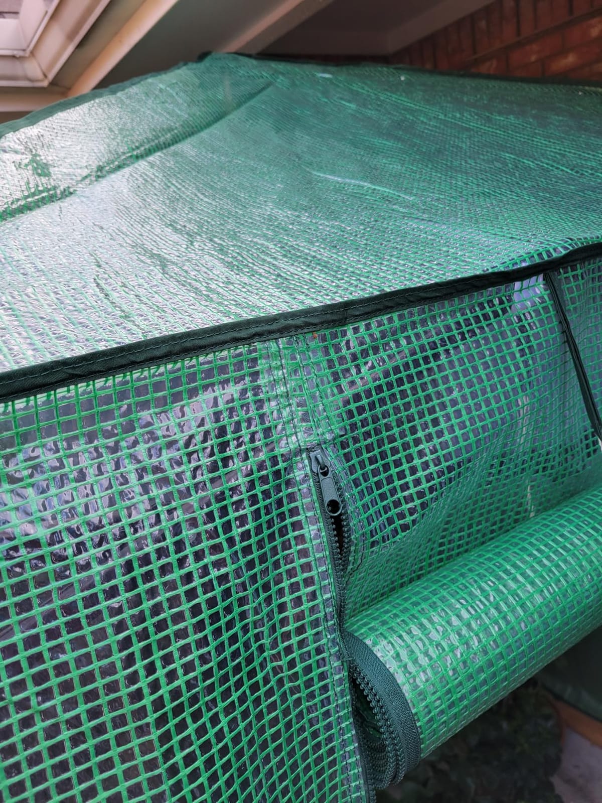 EAGLE PEAK 6x4 Easy Setup Small Pop Up Greenhouse, Clear/Green | Small Greenhouses for Outdoors & Indoors, Green House for Winter Protection, Roll-Up Door & Mesh Windows, One Person Setup customer photo 1