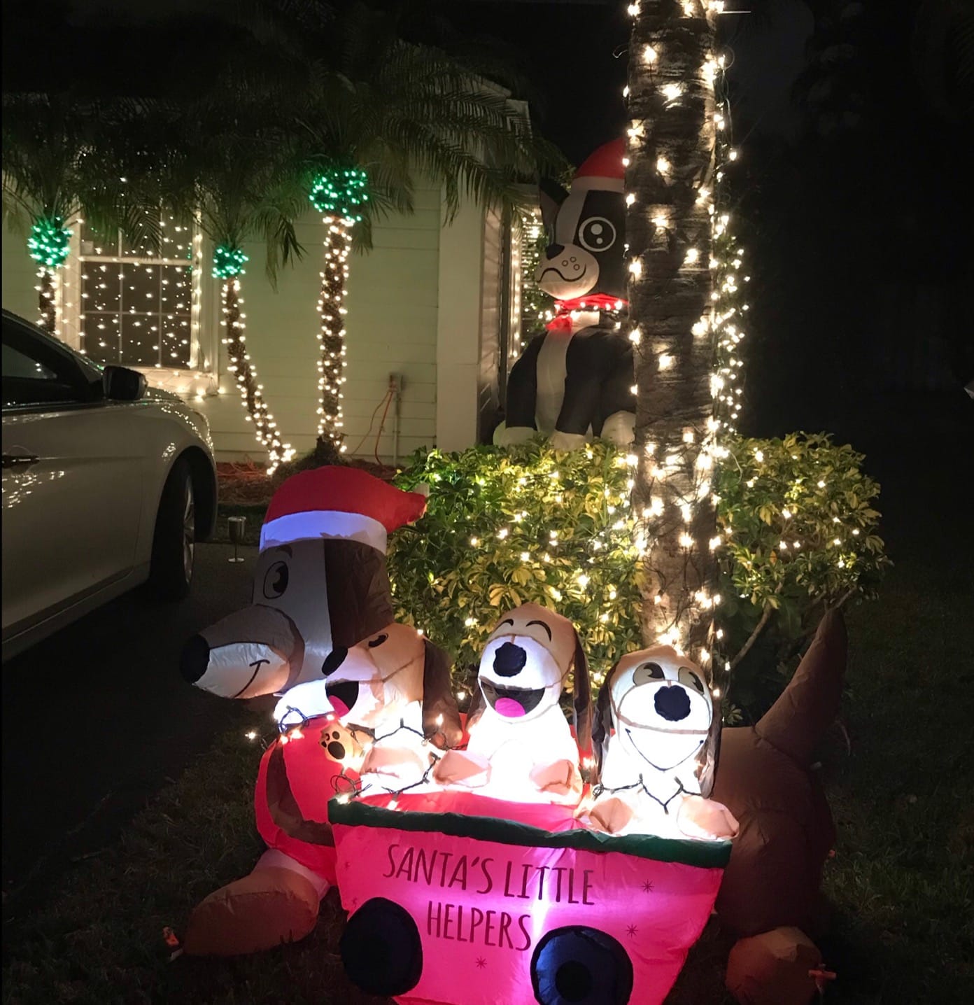 Joiedomi 5 FT Long Christmas Puppy Inflatable with Built-in LEDs, Self-Inflatable for Dachshund Blow Up Yard Decoration Xmas Party Indoor, Outdoor Yard Garden, Lawn Winter Décor customer photo 2