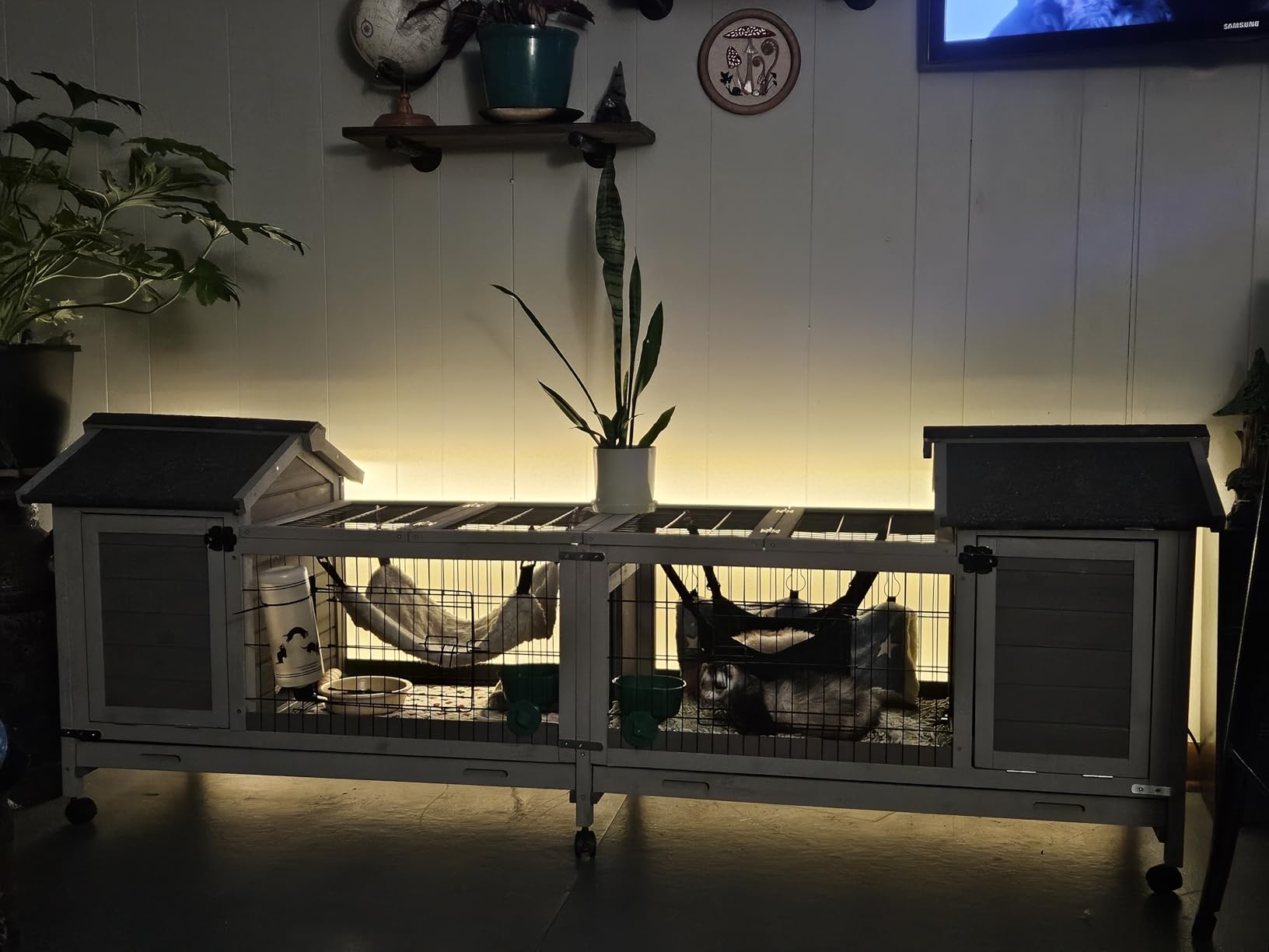 Aivituvin Rabbit Hutch Indoor Bunny Cage Outdoor Chicken Coop Rabbit House Bunny Hutch with Deeper Plastic Tray (Grey02 -one Set) customer photo 1