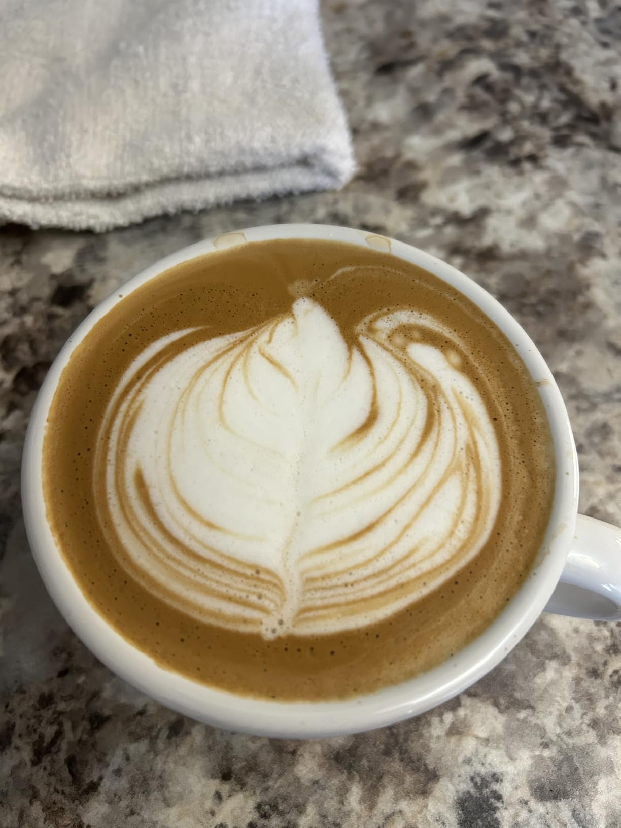 Gaggia RI9380/48 Classic Evo Pro Espresso Machine, Polar White customer photo 1