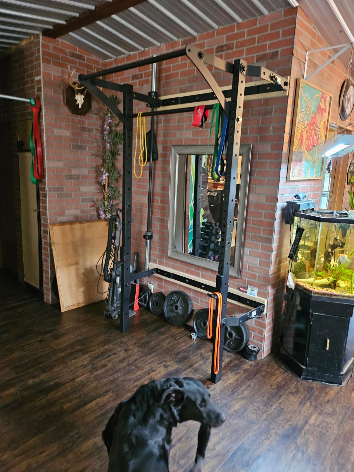 PRx Performance Murphy Foldable Squat Rack with Space-Saving Pull-Up Bar - Wall-Mounted Gym Equipment, Includes J-Cups for Barbell, Ideal for Strength Training, Bench Press and Leg Squats customer photo 1