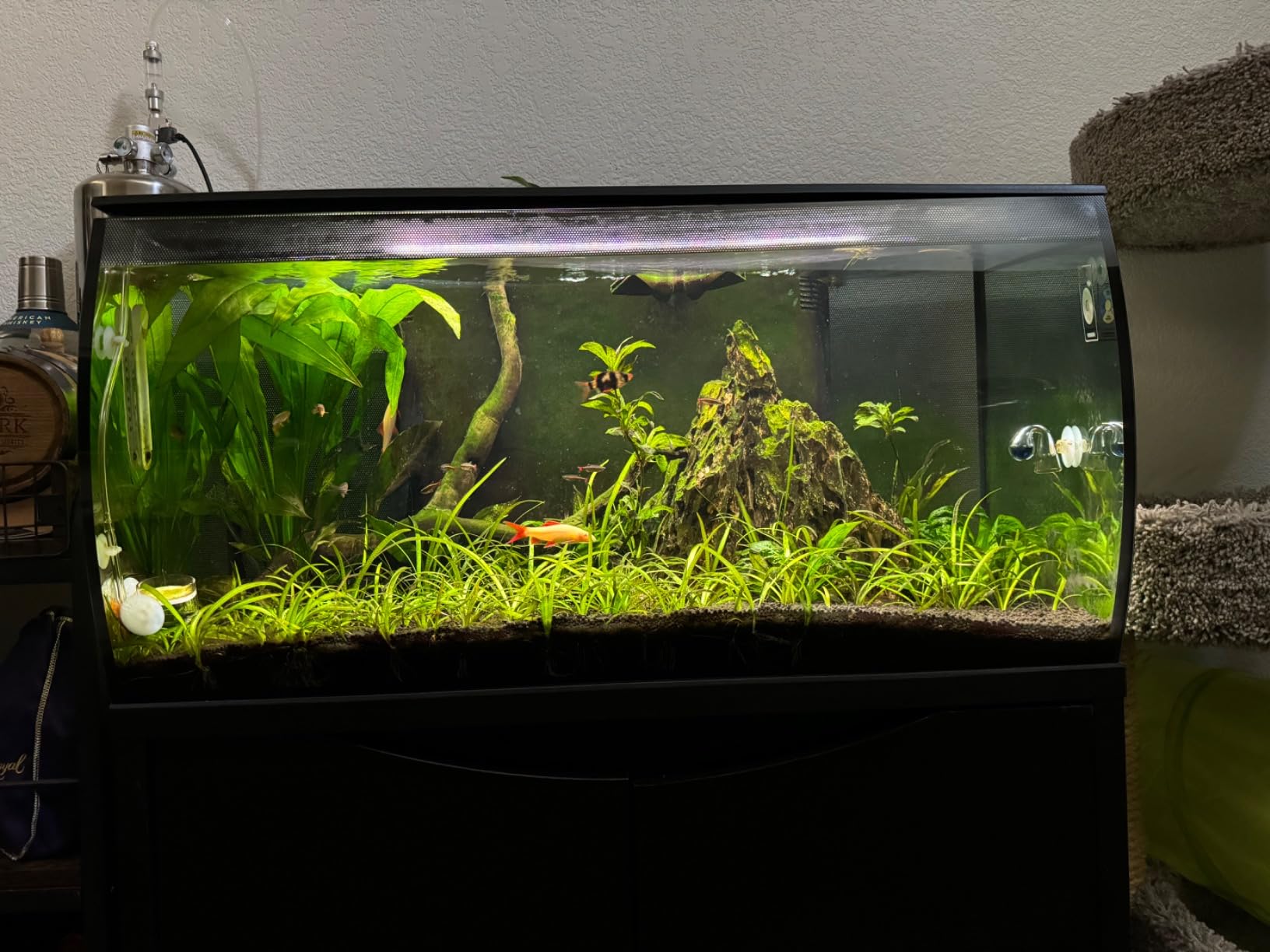 Pollen Glass CO2 Diffuser with U-Shape Connecting Tube for Aquarium Planted Tank (2