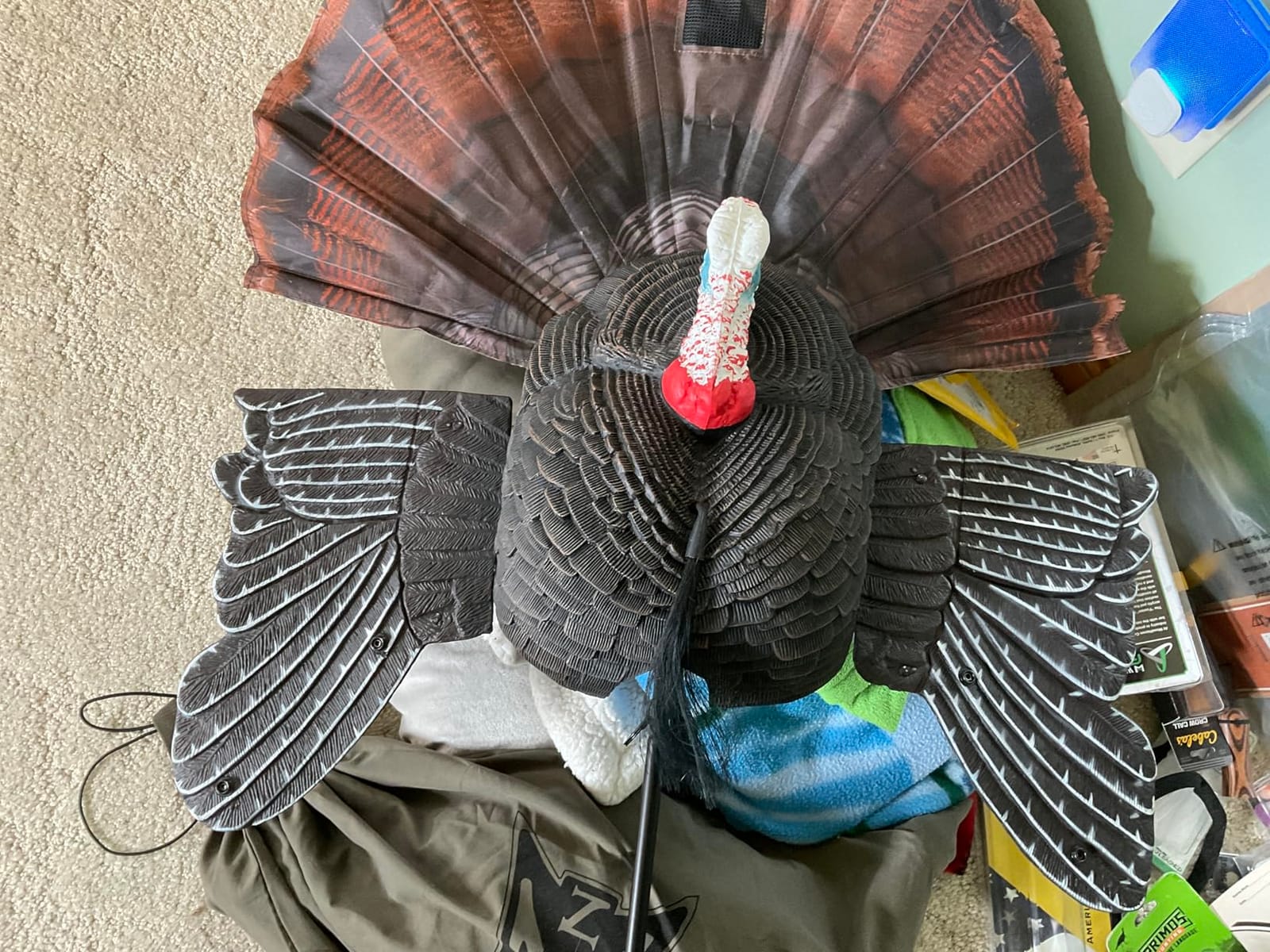 MOJO Scoot-N-Shoot MAX Tom Turkey Hunting Decoy with Realistic Fan customer photo 1