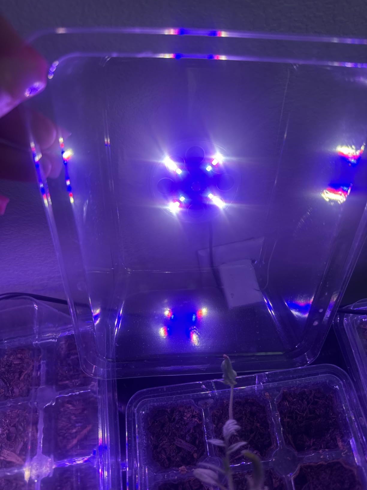 Bonviee Seed Starter Trays with 12-LED Grow Lights, Green, 5 Pack | 5 Seed Starter Kits, 60 Cells, 12-LED Grow Light per Tray, Vented Humidity Domes, Drainage Holes, 1-to-5 USB Cable customer photo 1