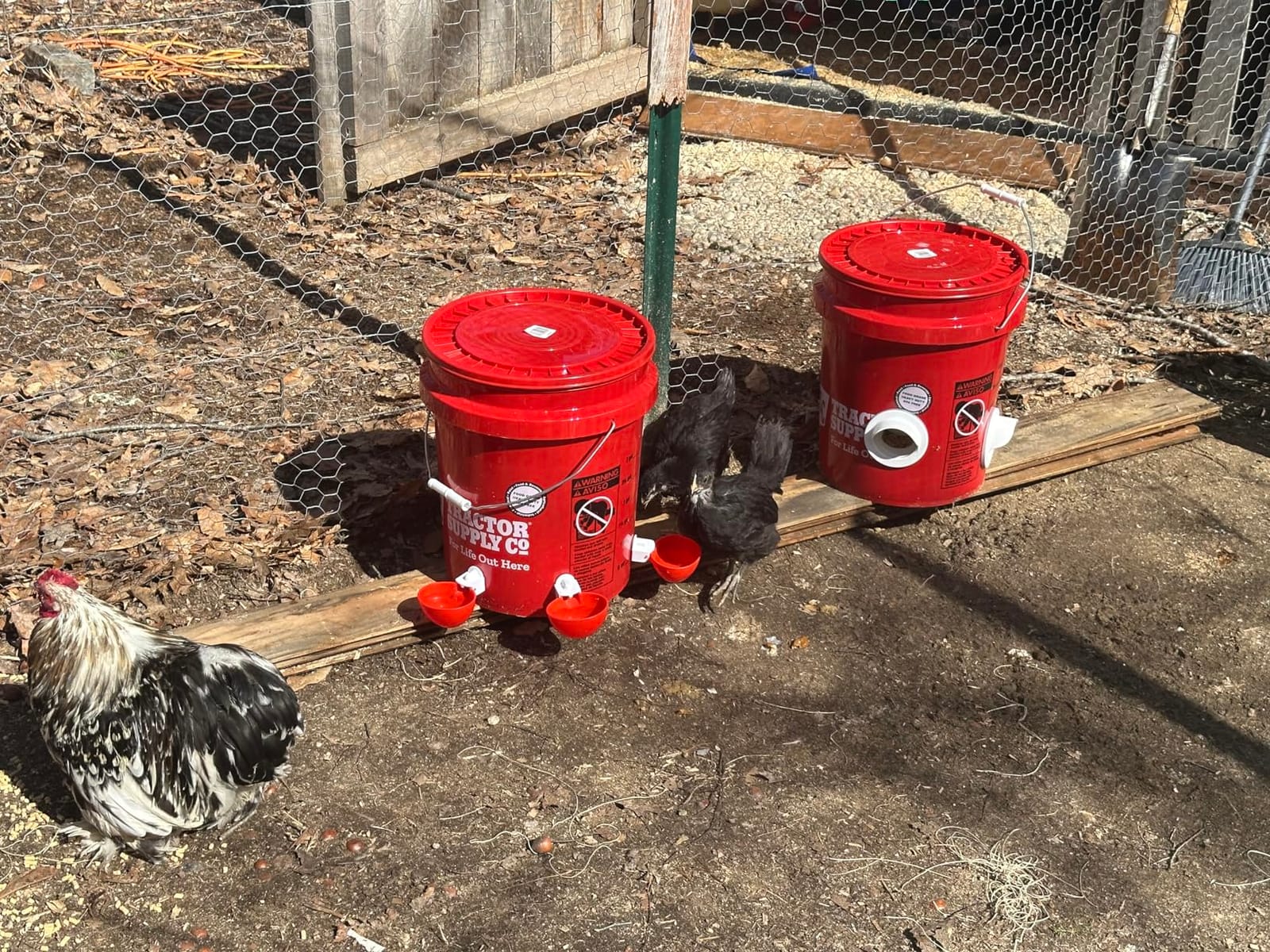 Poultry Pro DIY Chicken Feeder Kit, Weatherproof, 3 Ports & Hole Saw | As Seen on Shark Tank, Gravity Fed Chicken Feeder, for Buckets, Barrels, Bins & Troughs, Poultry Feed (Bucket Not Included) customer photo 1