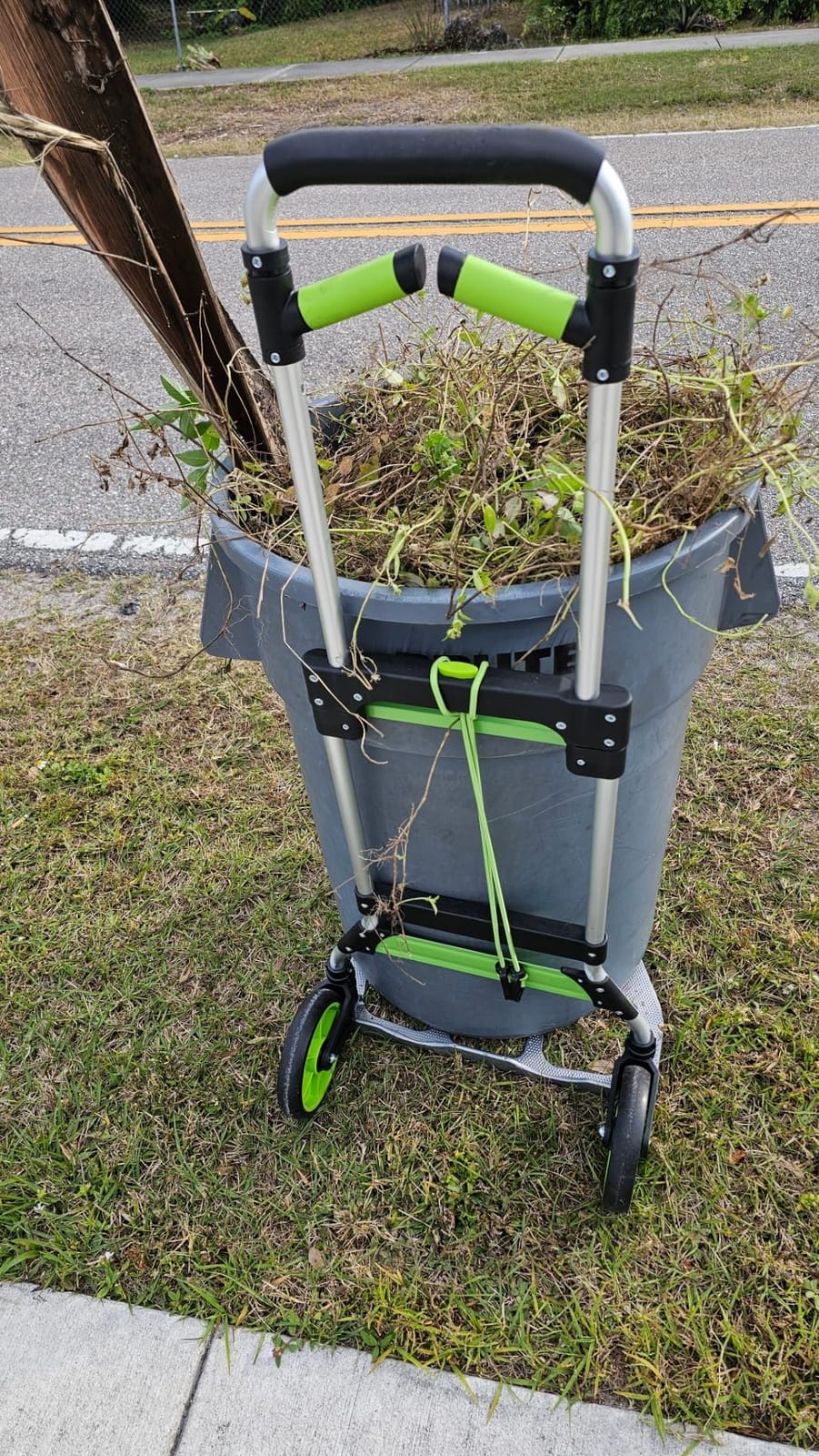 Leeyoung Folding Hand Truck and Dolly, 309 lb Capacity Aluminum Portable Cart with Telescoping Handle and PP+EVA Wheels customer photo 1
