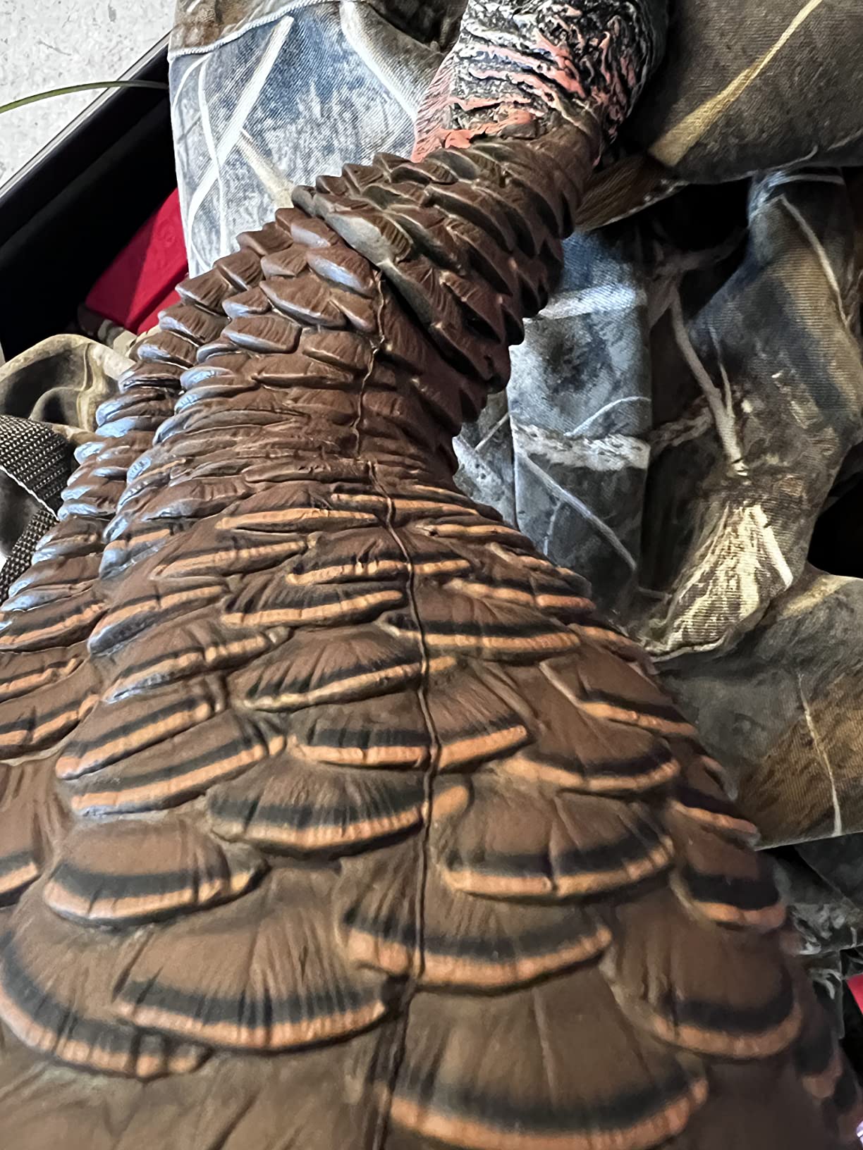 Avian-X HDR Feeding Hen Turkey Decoy | Durable Realistic Lifelike Standing Hunting Decoy with Carry Bag & Integrated Stake, AVX8107 customer photo 1