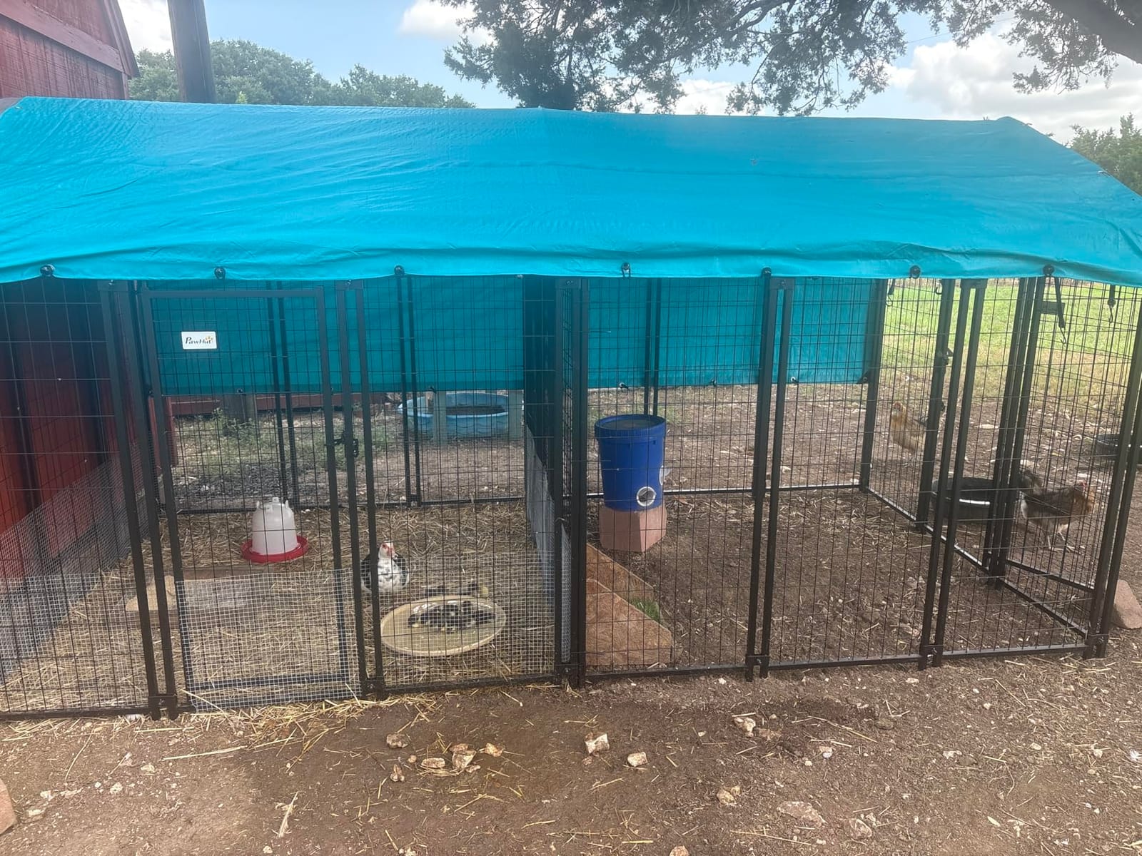 PawHut Outdoor Dog Kennel with Roof, 6' x 4' x 6' Heavy Duty Welded Wire Dog Playpen Enclosure with Escape-Proof Lock, UV-Resistant & Waterproof Cover, for Large Dogs, Chickens, Ducks, Silver customer photo 1