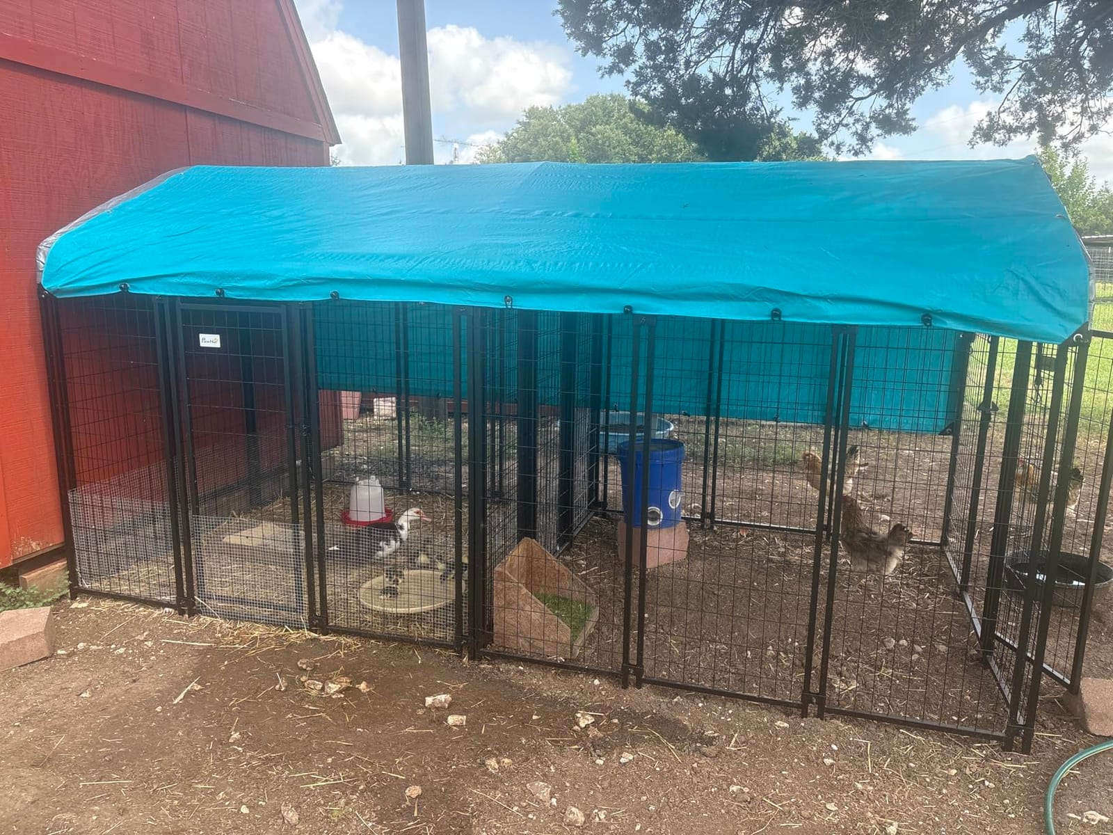 PawHut Outdoor Dog Kennel with Roof, 6' x 4' x 6' Heavy Duty Welded Wire Dog Playpen Enclosure with Escape-Proof Lock, UV-Resistant & Waterproof Cover, for Large Dogs, Chickens, Ducks, Silver customer photo 2