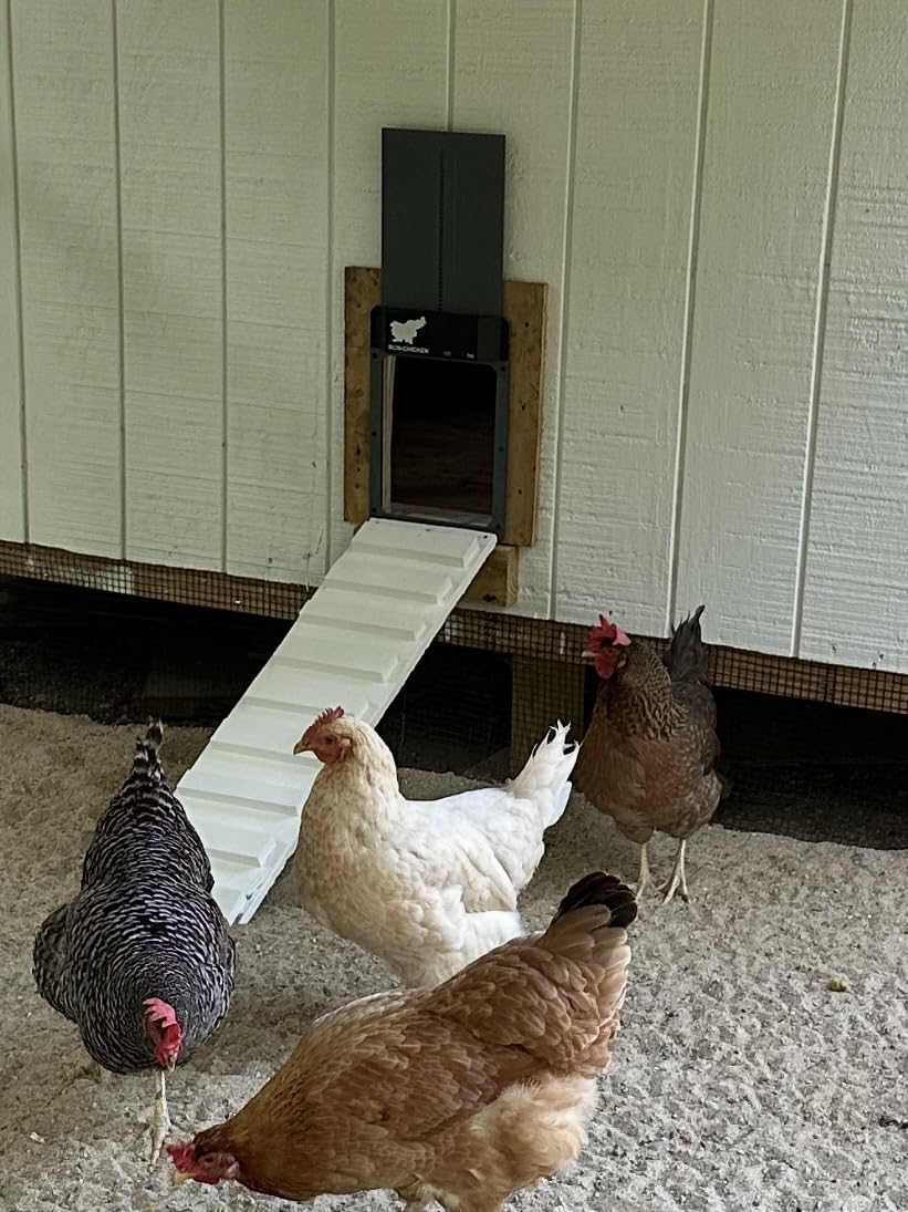 RUN-CHICKEN Door T50 - Automatic Chicken Coop Door Opener, Battery Powered & Weatherproof Aluminum, Smart App & Timer Control, Predator Proof, Easy Install, Reliable All-Season Performance (Gray) customer photo 2
