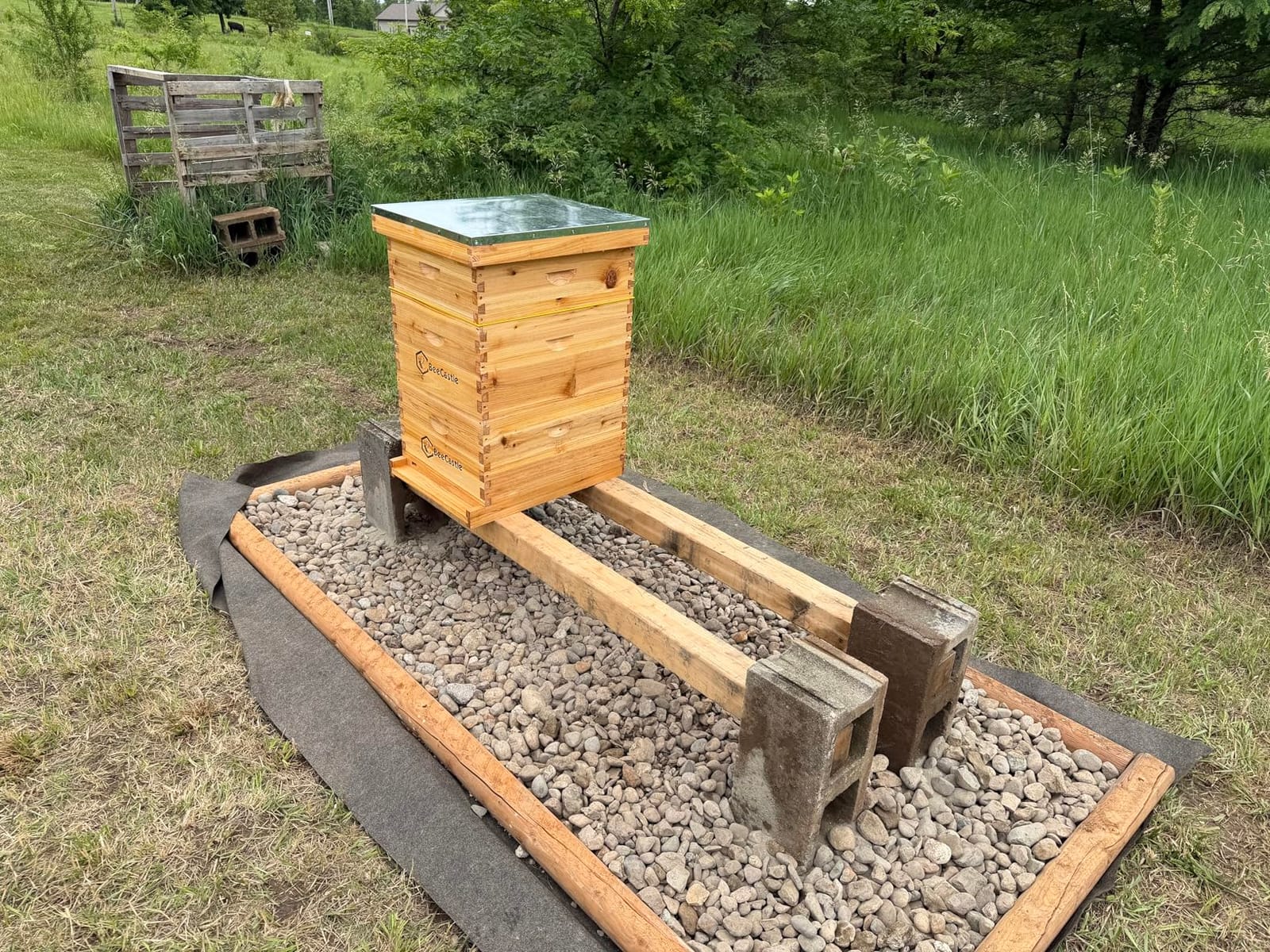BeeCastle 10 Frame Langstroth Bee Hive Coated with Beeswax Includes Beehive Frames and Waxed Foundations (2 Deep Boxes & 1 Medium Box) customer photo 1