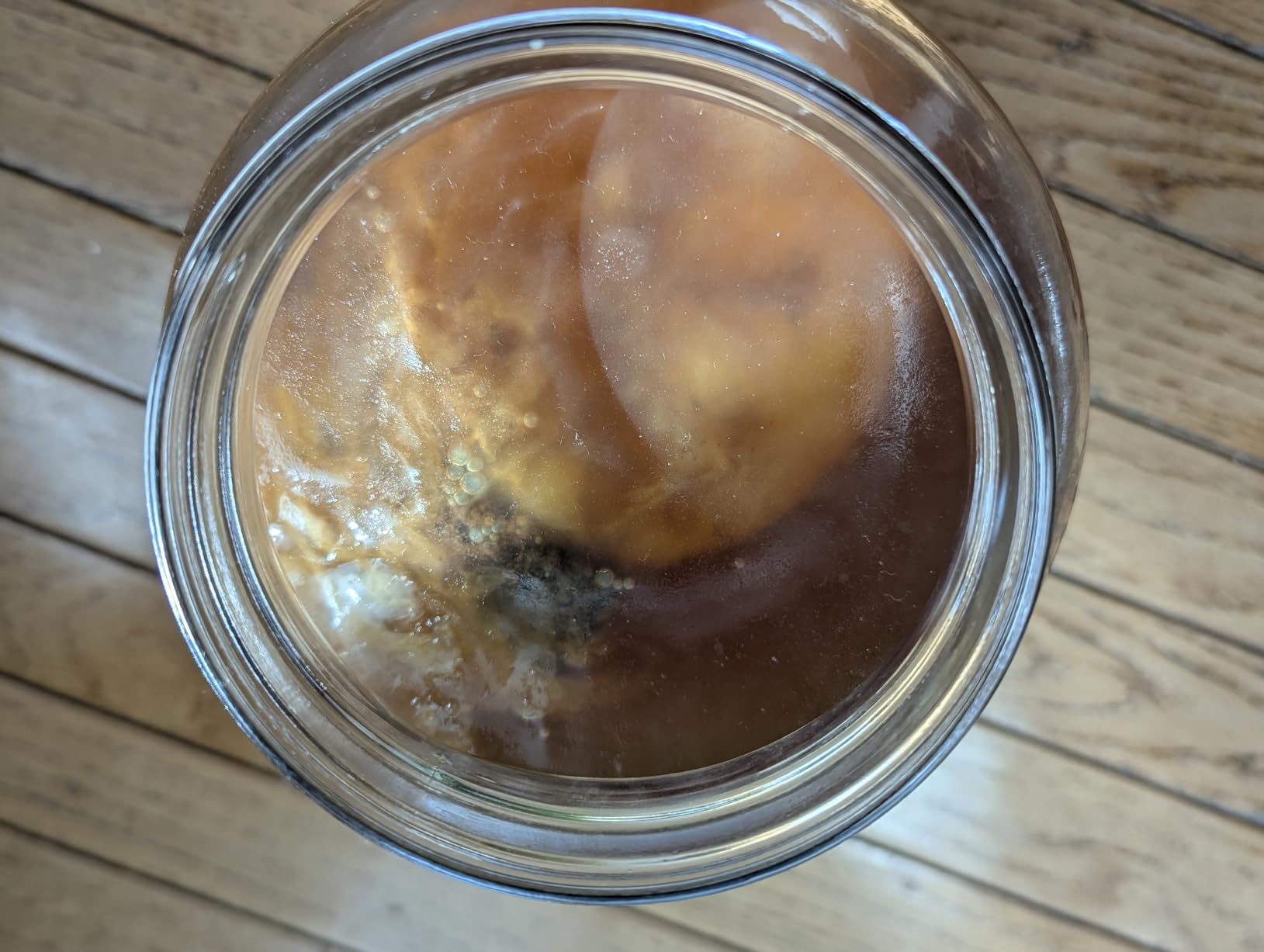 Organic SCOBY Kombucha Starter Kit with Live Culture for Brewing Kombucha Tea - Urban Kitchen customer photo 2