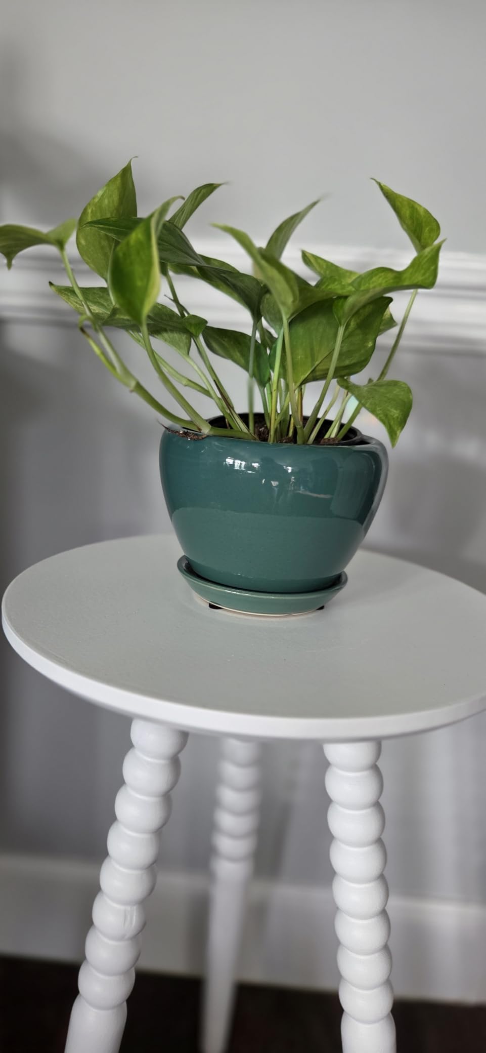 Ceramic Modern Glaze Succulent Planter Pot with Drainage Hole and Saucer 6 Inch Round Flower Plant Pot for Indoor Outdoor Herb Snake Plants customer photo 2