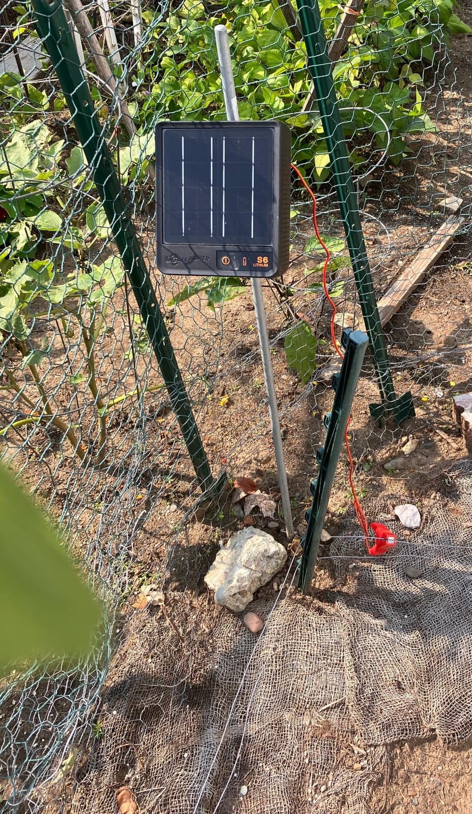 Gallagher S6 Solar Electric Fence Charger | Solar-Powered Fence Charger for Gardens, Chickens, Goats, and Pets customer photo 1