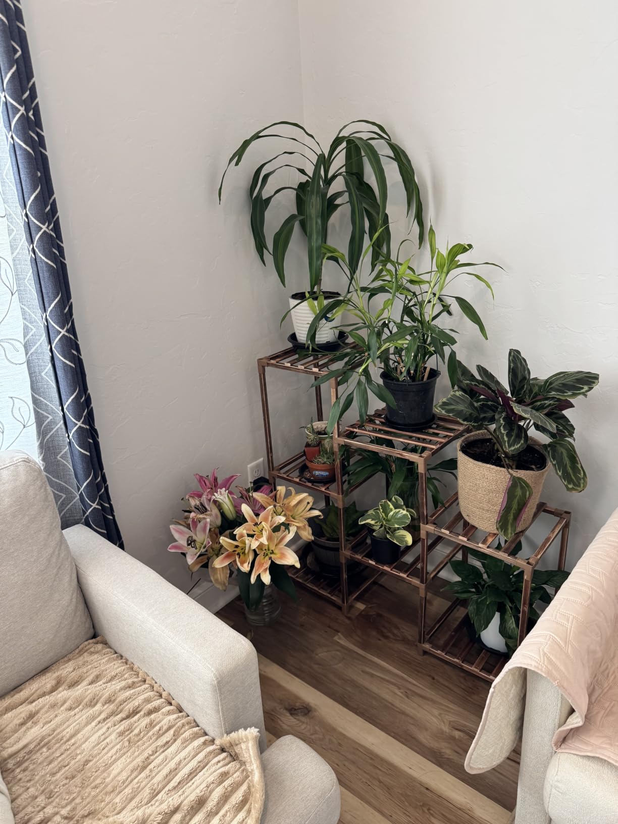 Bamworld Plant Stand Indoor Plant Shelf Outdoor Wood Plant Rack | for Multiple Plants 3 Tiers Ladder Plant Holder for Living Room Patio Boho Home Decor for Gardening customer photo 2