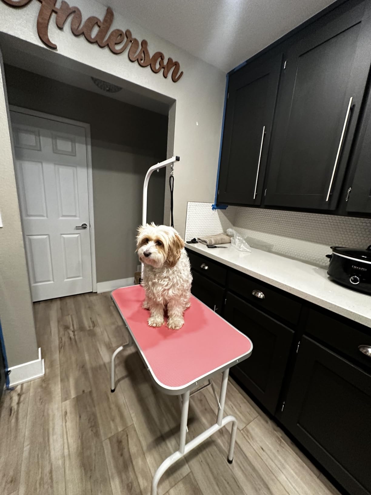 LEIBOU Pet Dog Grooming Table Foldable Grooming Table Heavy Duty Iron Frame with Arm & Noose for Dog Cat Pet Grooming (32'', Pink) customer photo 2
