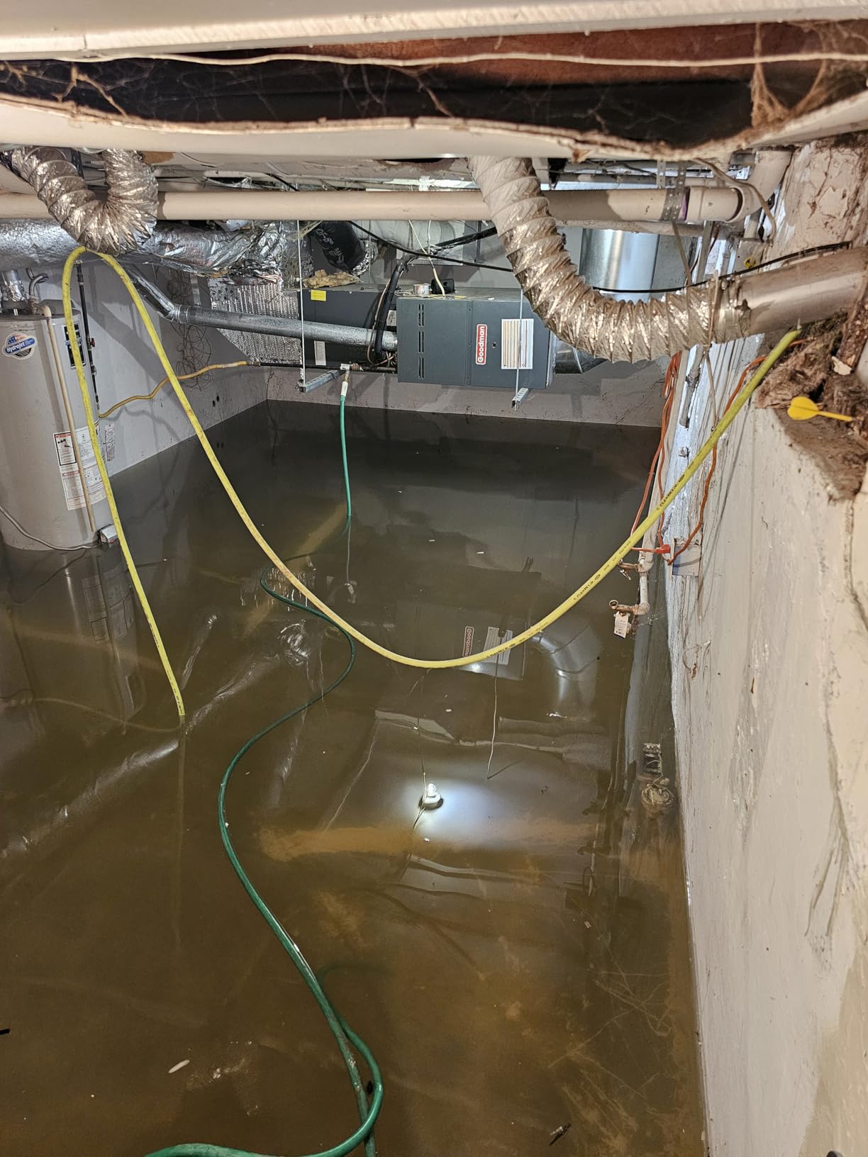 The Basement Watchdog Combo Preassembled Primary & Battery Backup Sump Pump System w/Monitoring Controller (CITE-33); Copper-Wound PSC Motor customer photo 2
