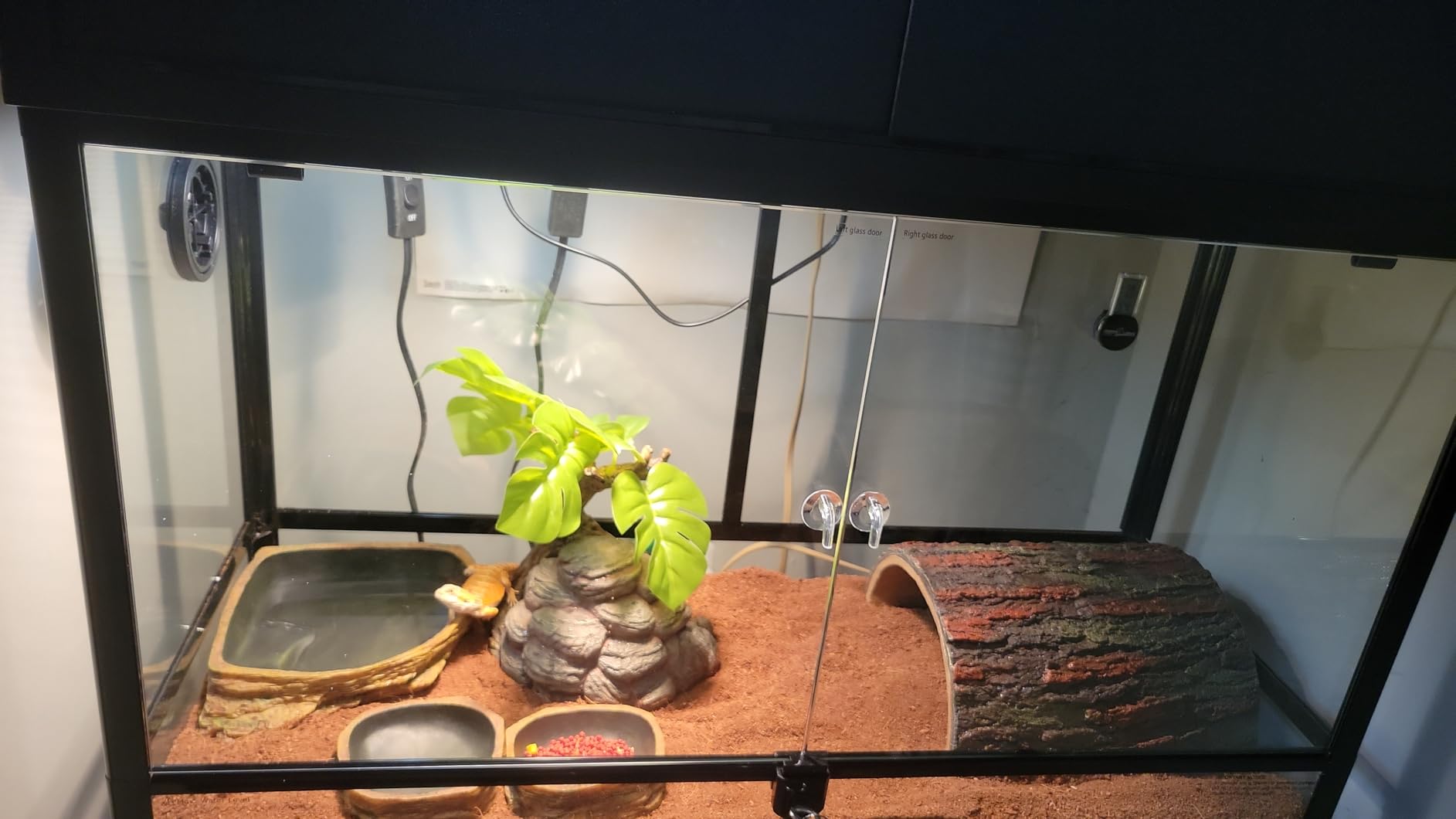 REPTI ZOO Tempered Glass Reptile Terrarium 30 Gallon, Wide Reptiles Tank 30