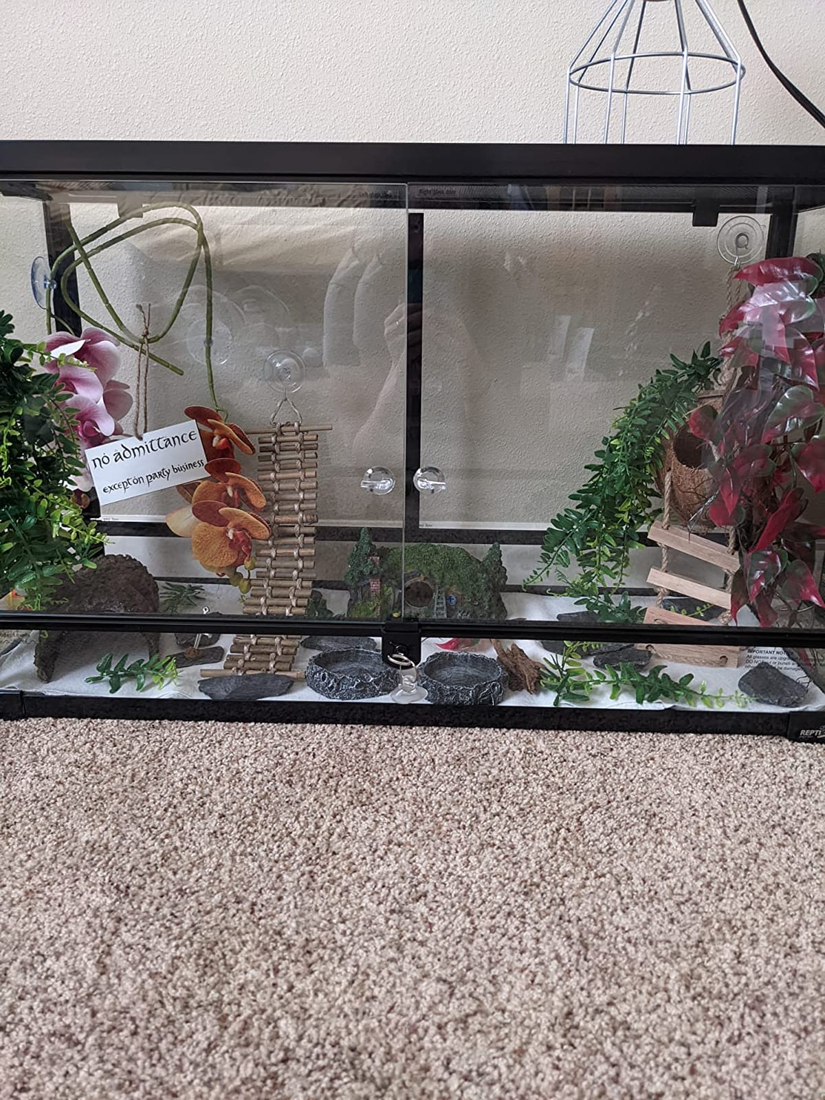 REPTI ZOO Tempered Glass Reptile Terrarium 30 Gallon, Wide Reptiles Tank 30