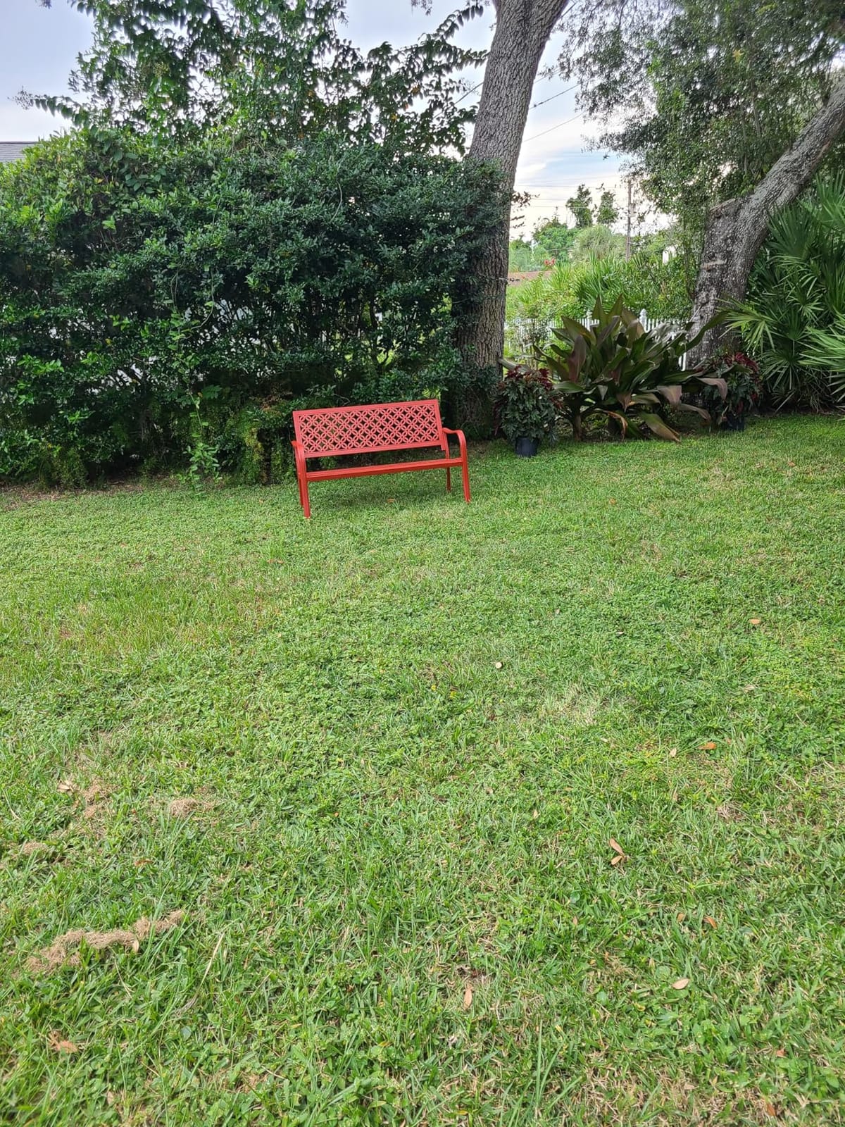 Grand patio 50
