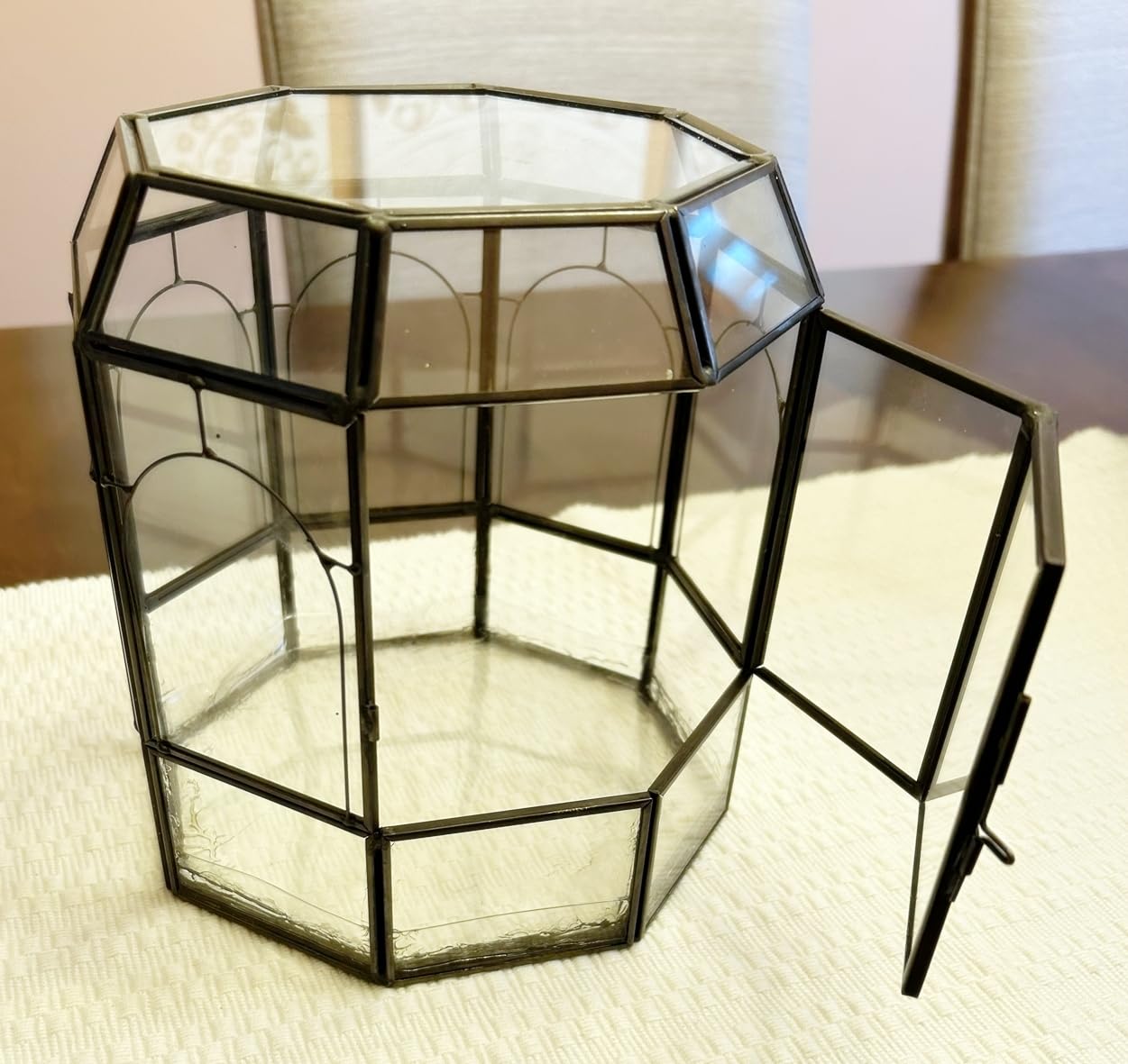 REDHUGO Large Glass Terrarium, Handmade Indoor Planter Display Box, Black | Handmade Glass Terrarium for Succulents, Cacti, Air Plants and Fairy Gardens, Ideal for Indoor Tabletop Centerpiece Display customer photo 1