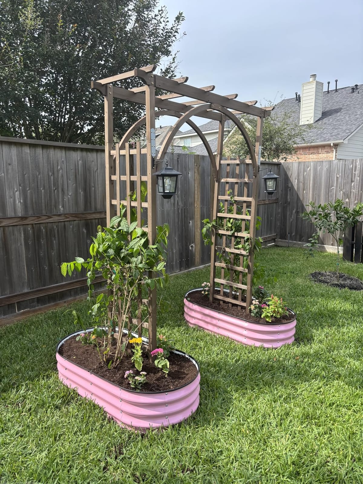 VINGLI 85in Wooden Arbor Garden Arch, Wedding Arch for Ceremony, Wood Trellis for Plant Climbing, Christmas Decor Pergola for Garden Backyard, Lawn customer photo 1