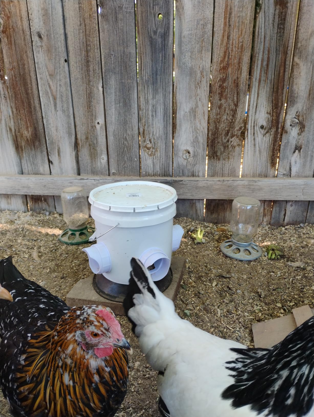 DIY Chicken Feeder Rain Proof Poultry Feeder Port Gravity Feed Kit for Buckets, Barrels, Troughs (4 Port with holesaw) customer photo 2