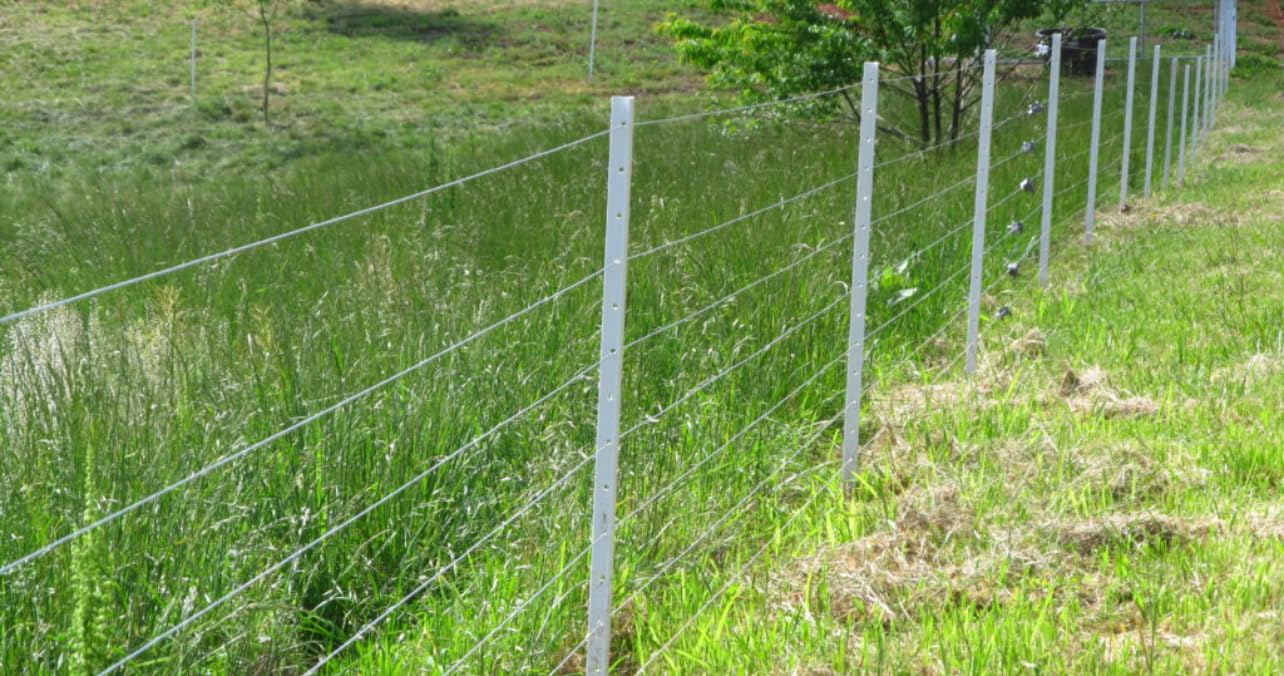 52cc Gas T Post Driver, 1900W 2 Stroke Fencing Tool with 2 Sleeves | Heavy Duty, 6500RPM, 55J Impact, 2 Sleeves Included (55mm/70mm), Ergonomic Handle, Post Pounder for Farm, Ranch, Construction customer photo 1