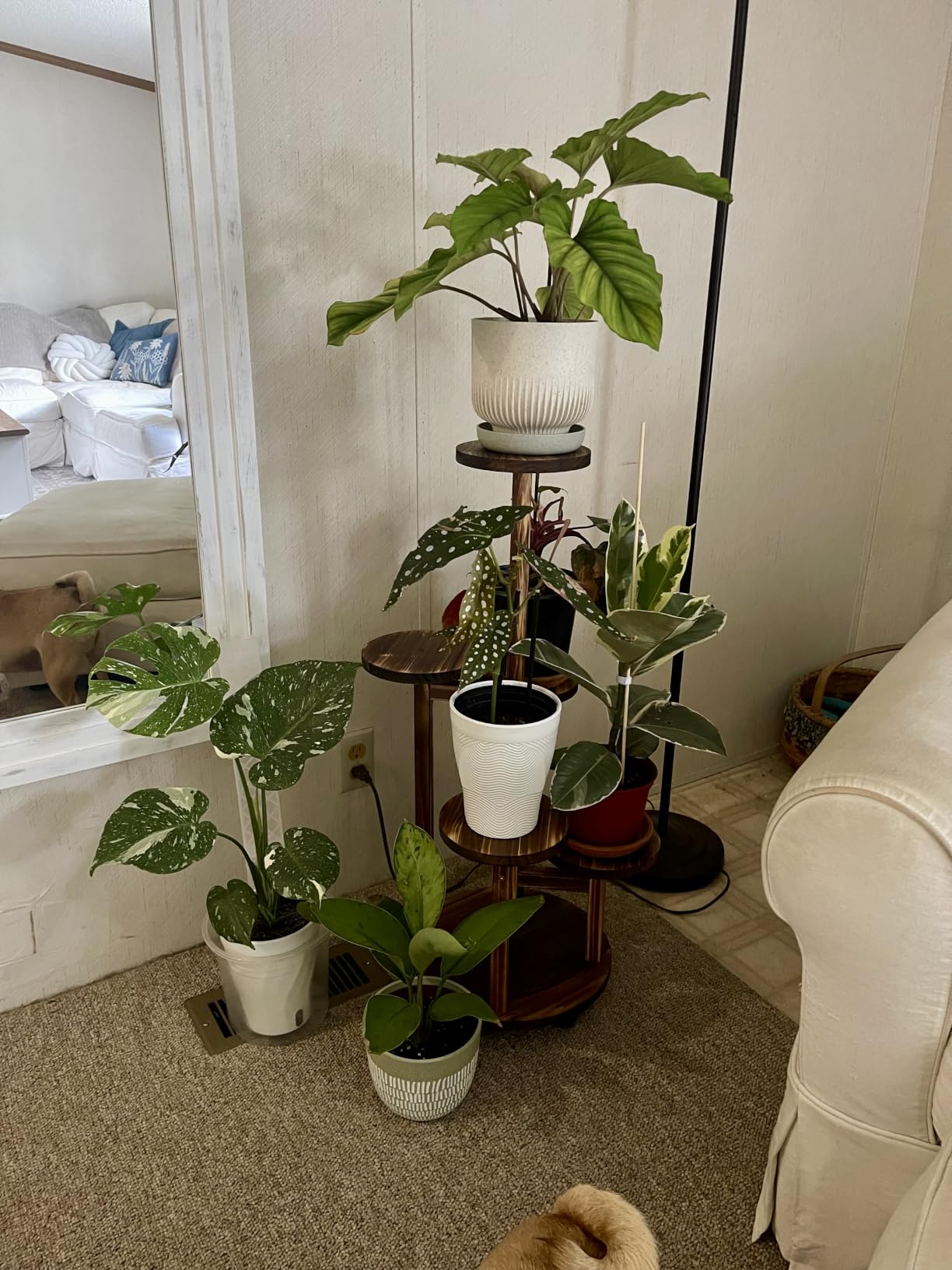 GEEBOBO 5 Tiered Tall Plant Stand for Indoor | Wood Plant Shelf Corner Display Rack, Multi-tier Planter Pot Holder Flower Stand for Living Room Balcony Garden Patio, Brown customer photo 1