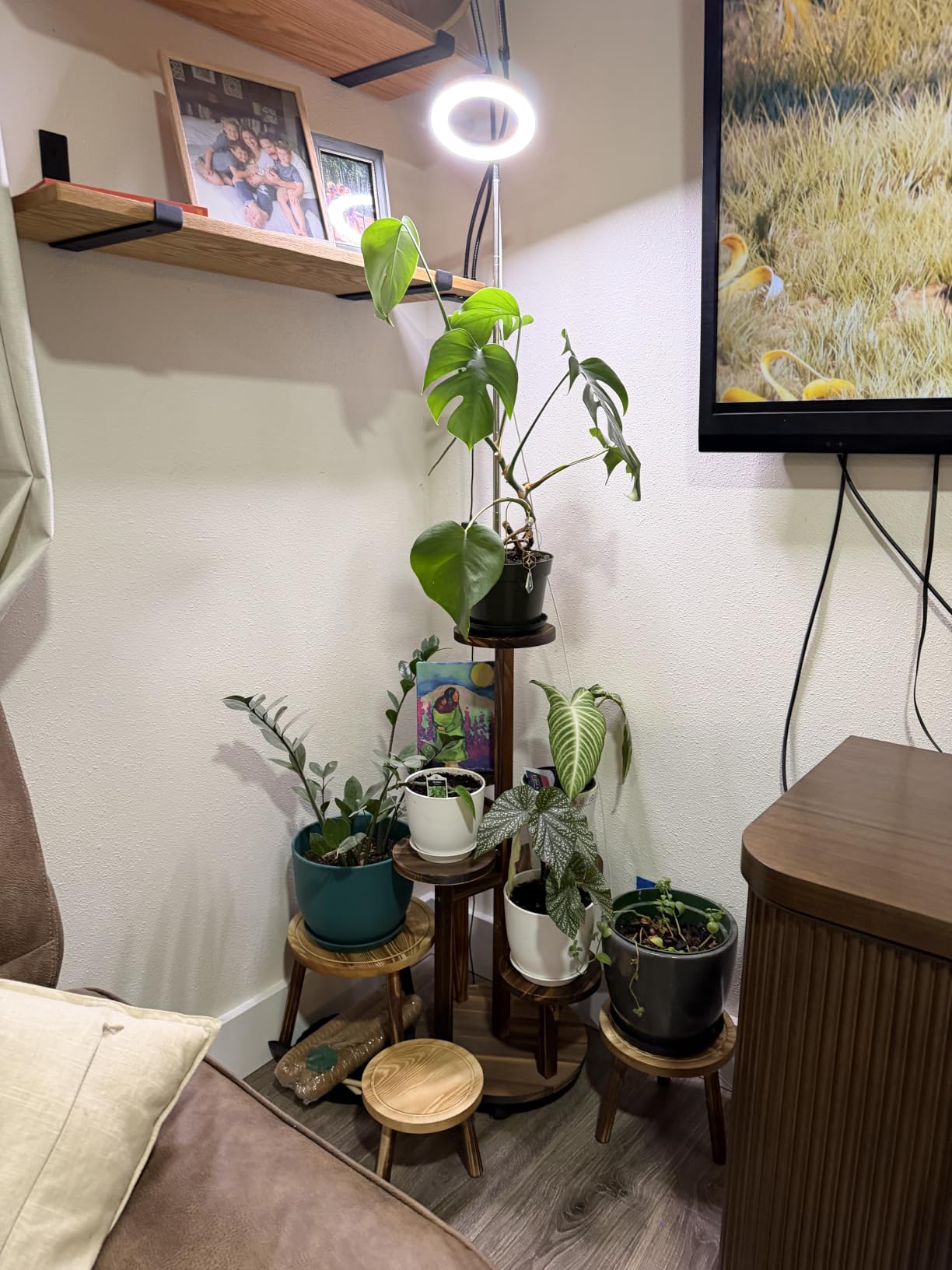 GEEBOBO 5 Tiered Tall Plant Stand for Indoor | Wood Plant Shelf Corner Display Rack, Multi-tier Planter Pot Holder Flower Stand for Living Room Balcony Garden Patio, Brown customer photo 2
