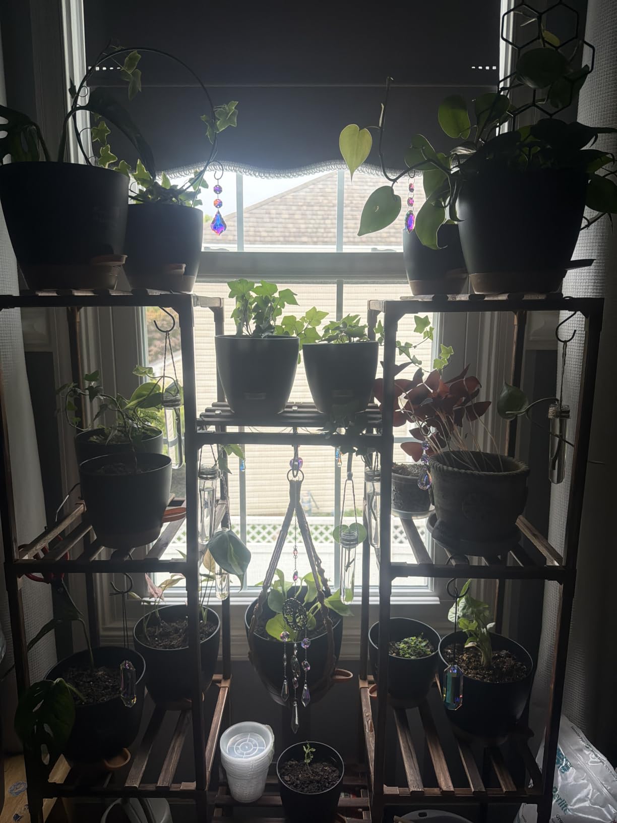 Uneedem Plant Stand Indoor Outdoor, Tall Plant Shelf for Multiple Plants, 10 tiers 11 Pot Large Plants Holder Rack Wood Plant Shelves for Room Corner Balcony Garden Patio customer photo 1
