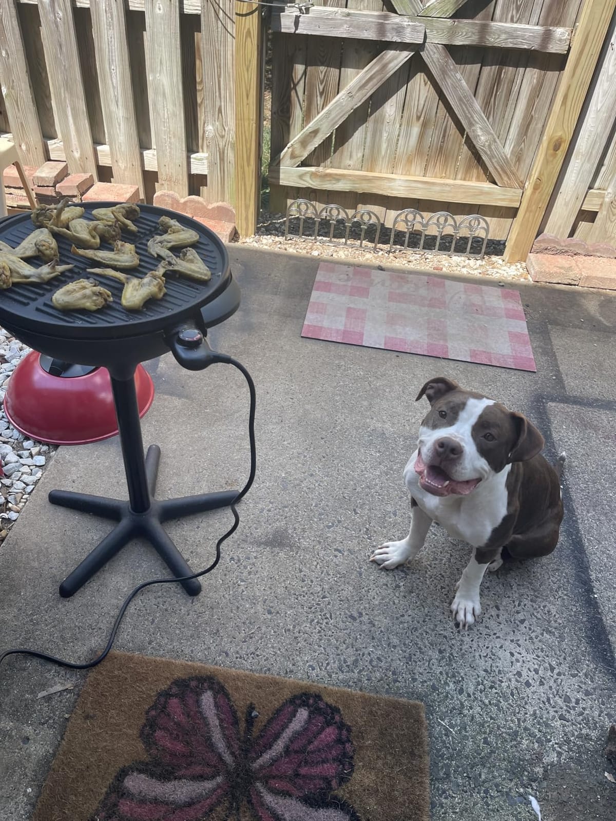 Cuisinart Electric Grill, Indoor/Outdoor, Compact, Portable, Nonstick (CEG-115) customer photo 2