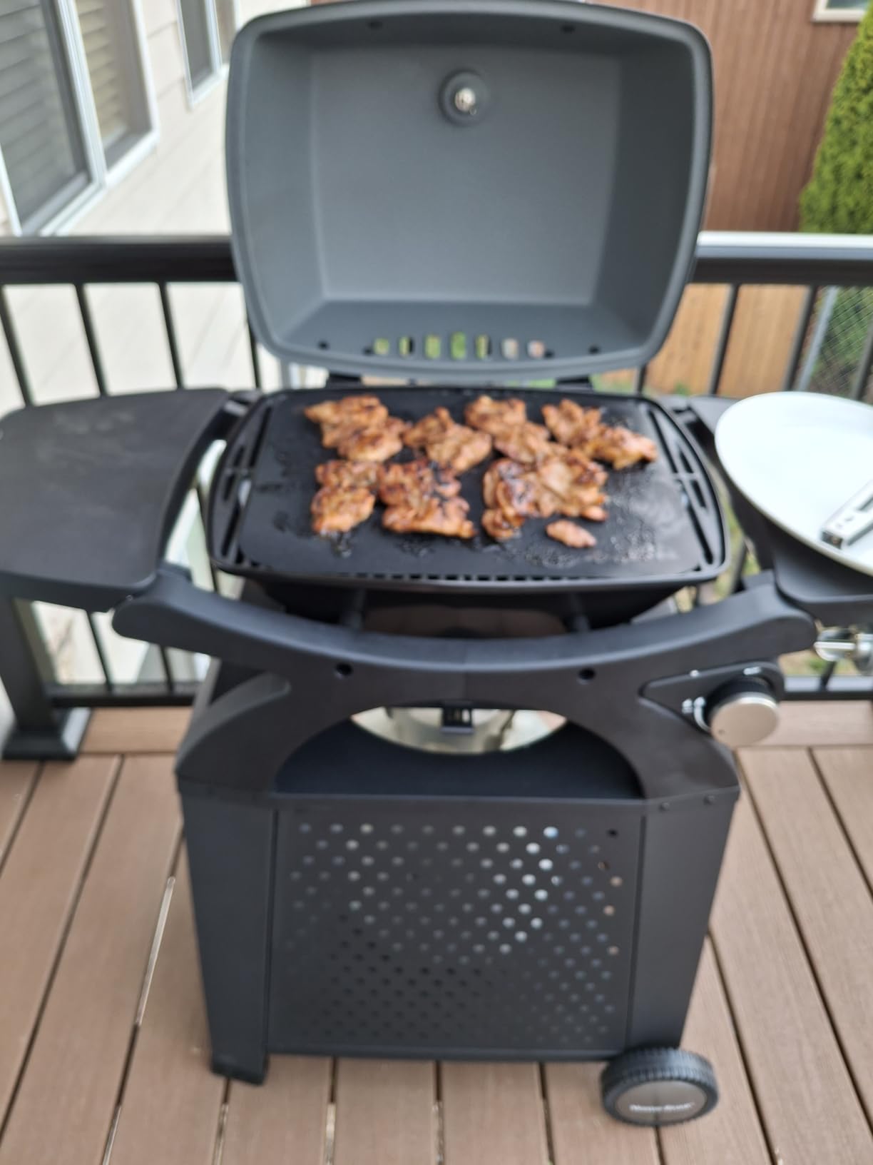 MASTER COOK Single Burner Propane Gas Grill, 11,500 BTU Portable Tabletop Barbecue Grill with Cart for Patio, Camping, Travel customer photo 1