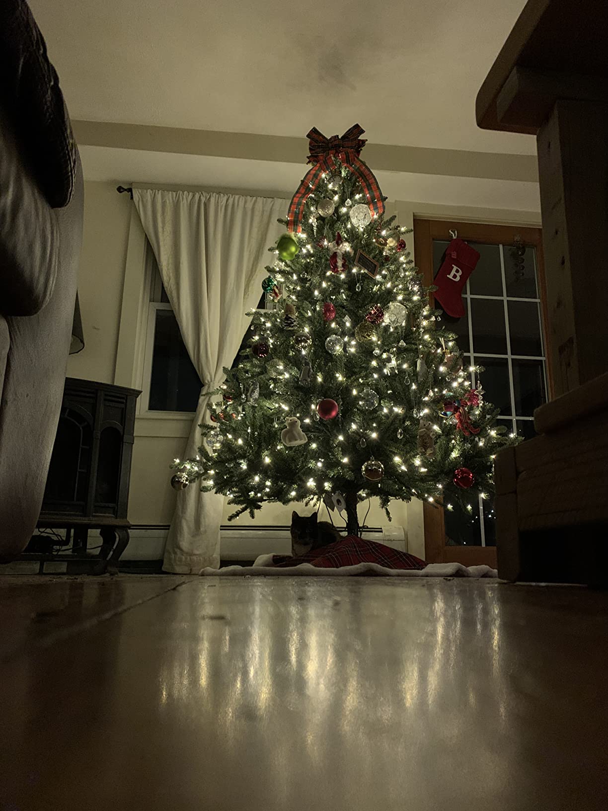Balsam Hill 7.5ft Pre-Lit Classic Blue Spruce - Artificial Christmas Tree with 2,960+ Tips, 1,000 Clear LED Lights, Easy Plug Technology & Premium Stand for Indoor Holiday Decorating customer photo 1