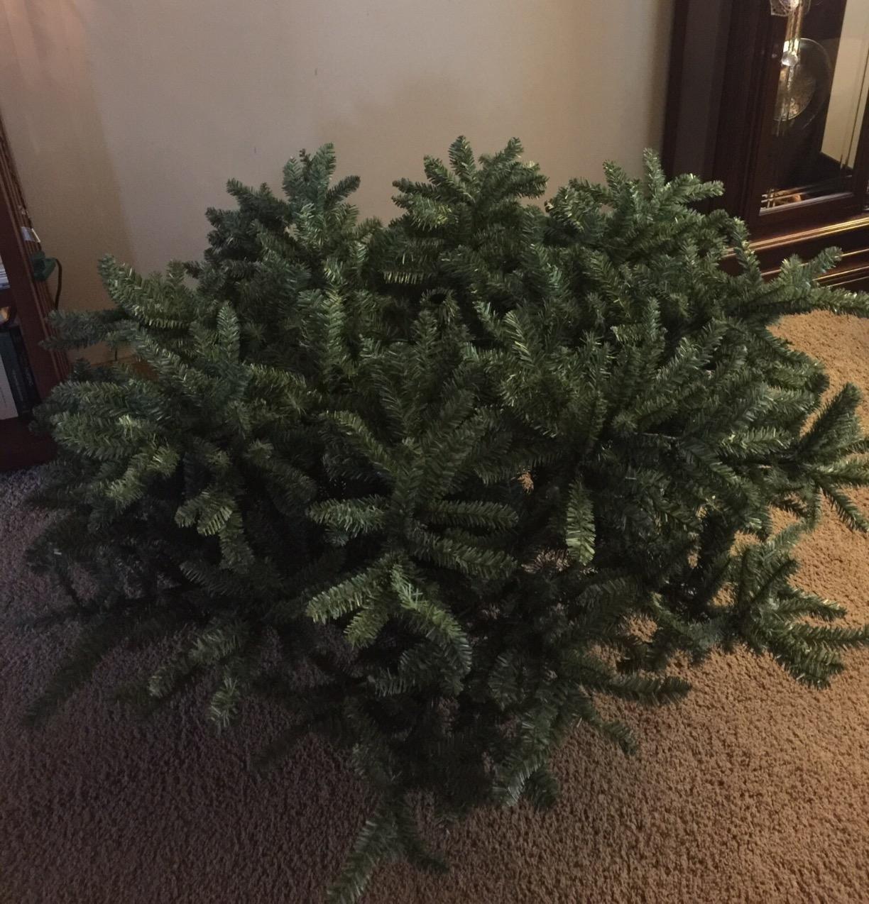Balsam Hill 6.5ft Pre-Lit Classic Blue Spruce - Artificial Christmas Tree with 2144+ Tips, 700 Clear Incandescent Lights, Easy Plug Technology & Premium Stand for Indoor Holiday Decorating customer photo 2