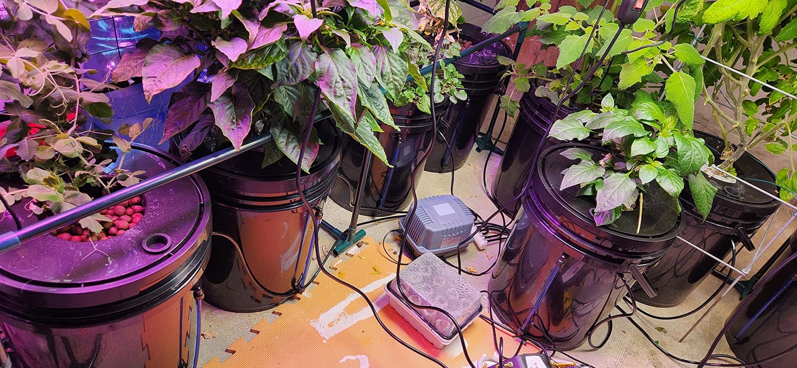 VEVOR DWC Hydroponic System, 5 Gallon 8 Buckets, Deep Water Culture Growing Bucket, Hydroponics Grow Kit with Pump, Air Stone and Water Level Device, for Indoor/Outdoor Leafy Vegetables customer photo 2
