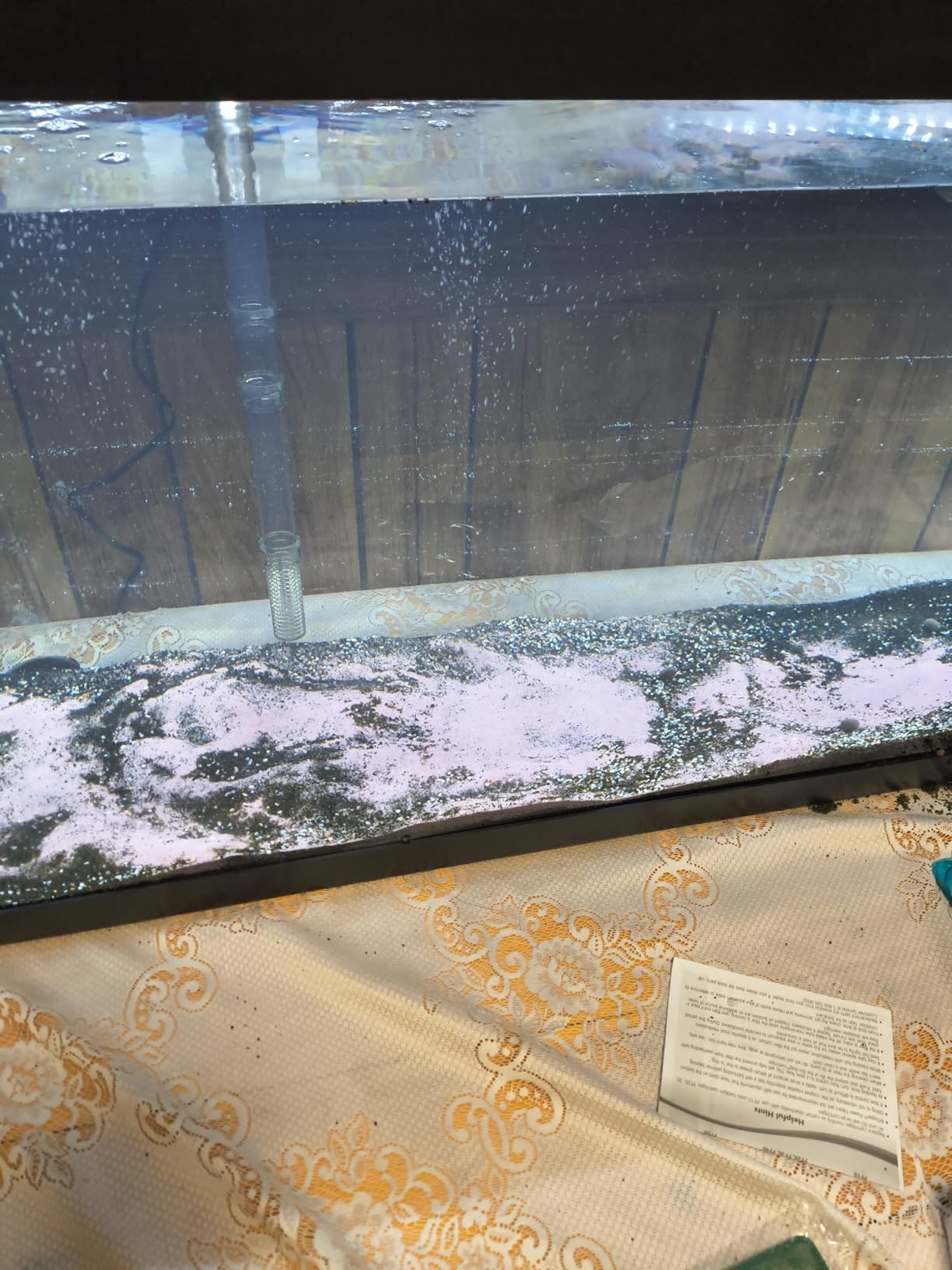 Tetra Complete LED Aquarium 55 Gallons, Includes LED Lighting, Filtration, Heater and Accessories customer photo 1