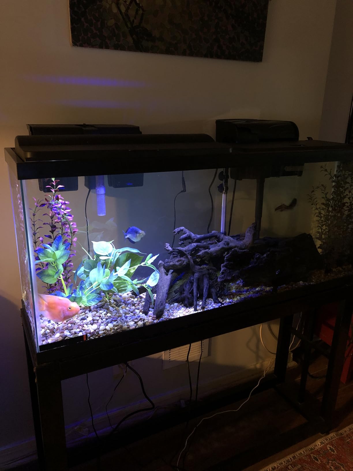 Tetra Complete LED Aquarium 55 Gallons, Includes LED Lighting, Filtration, Heater and Accessories customer photo 2