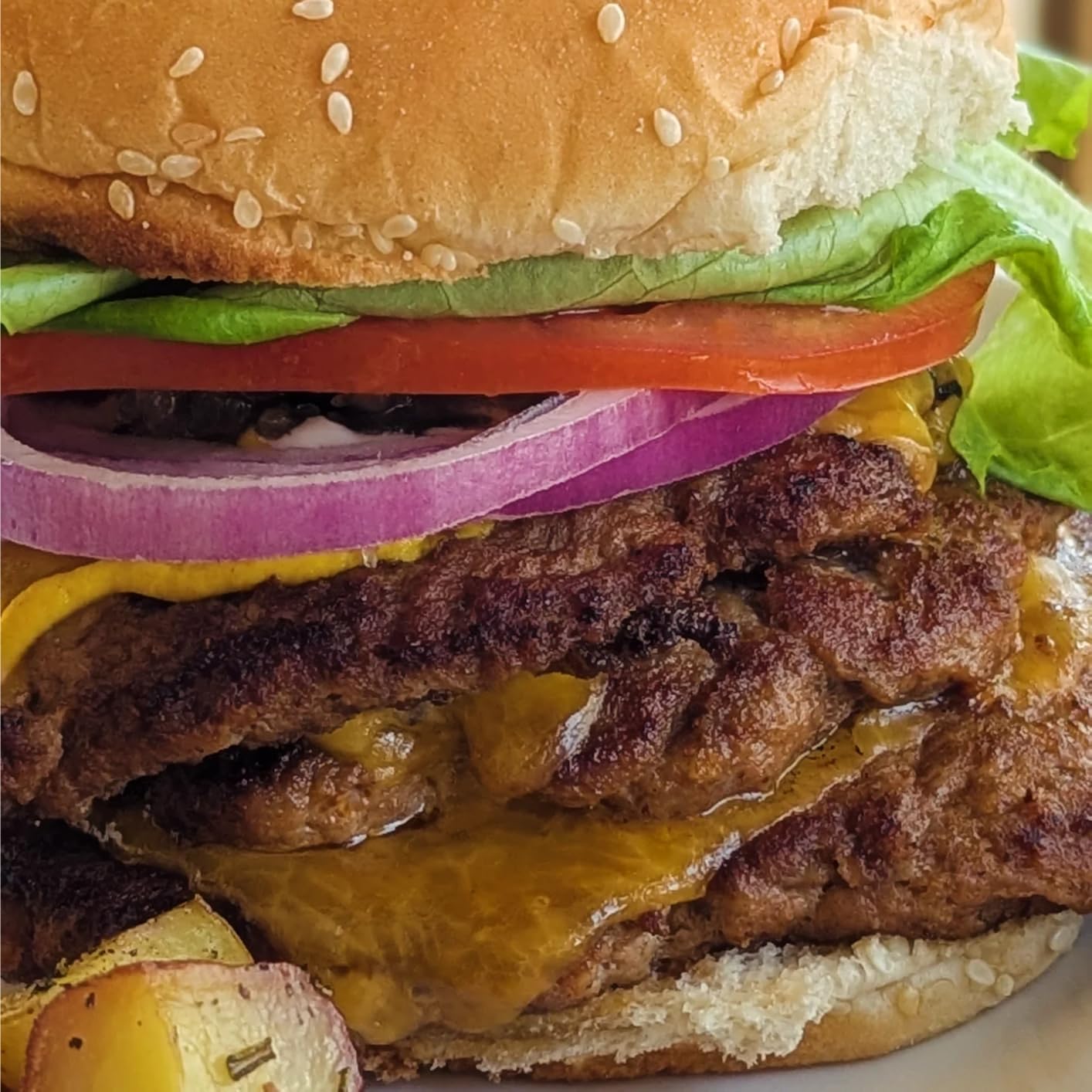 Firsgrill Burger Press 7.08