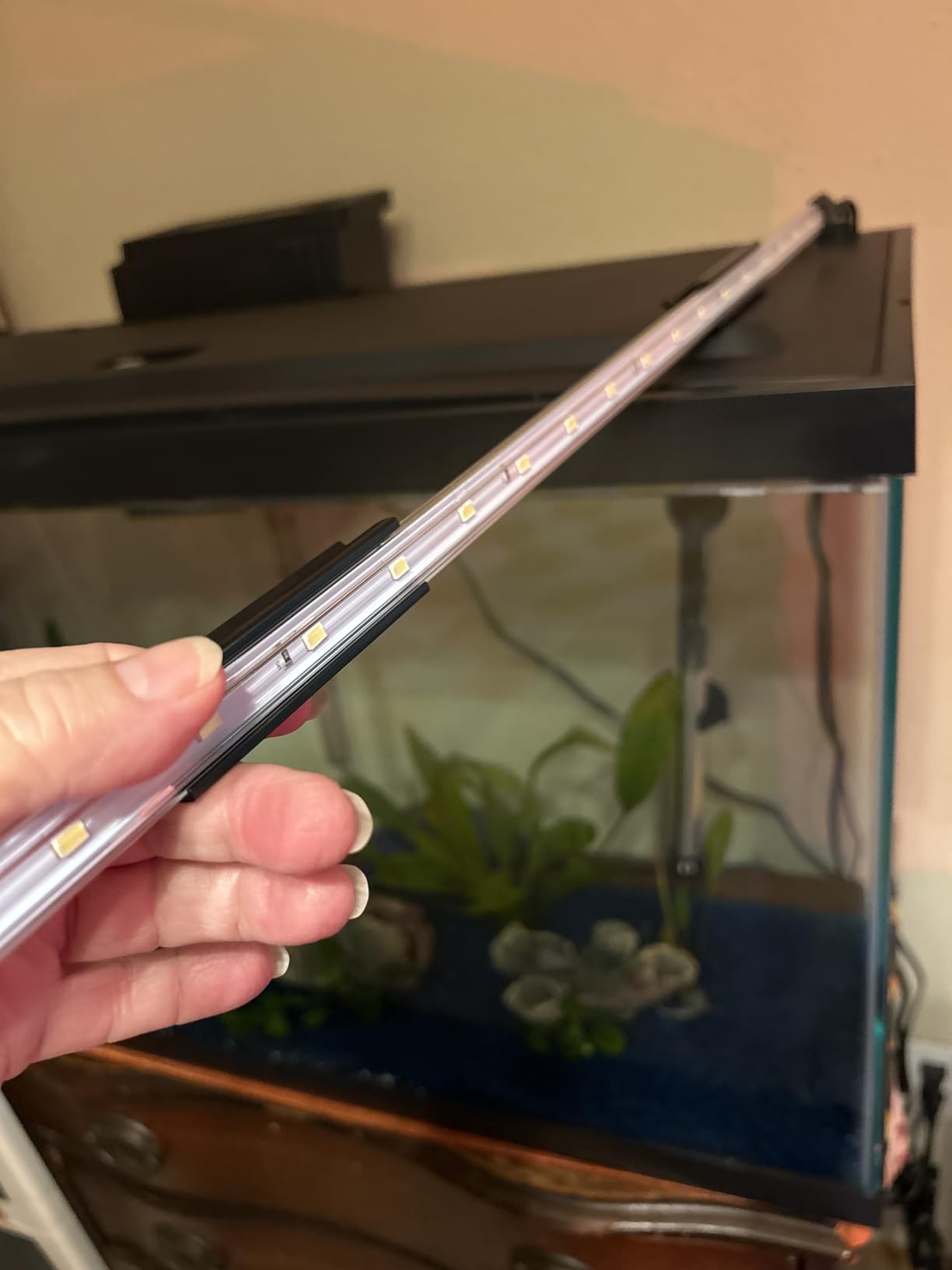 Tetra Complete LED Aquarium 29 Gallons, Includes LED Lighting, Filtration, Heater and Accessories customer photo 2
