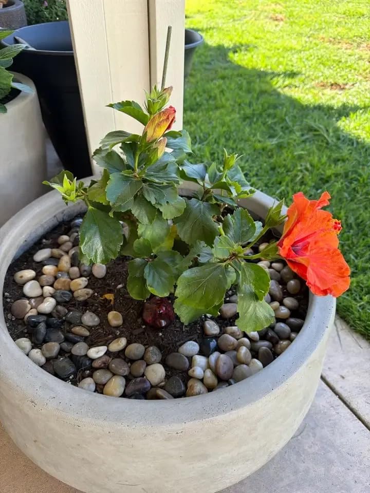 Kante Weathered Concrete Planter 21.7