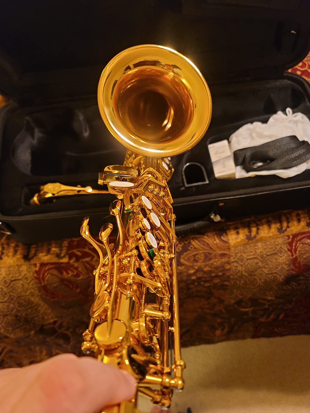 Herche Superior Alto Saxophone X3 | Professional Instruments for All Levels, High F# Key, Educator Approved, Service Plan customer photo 2
