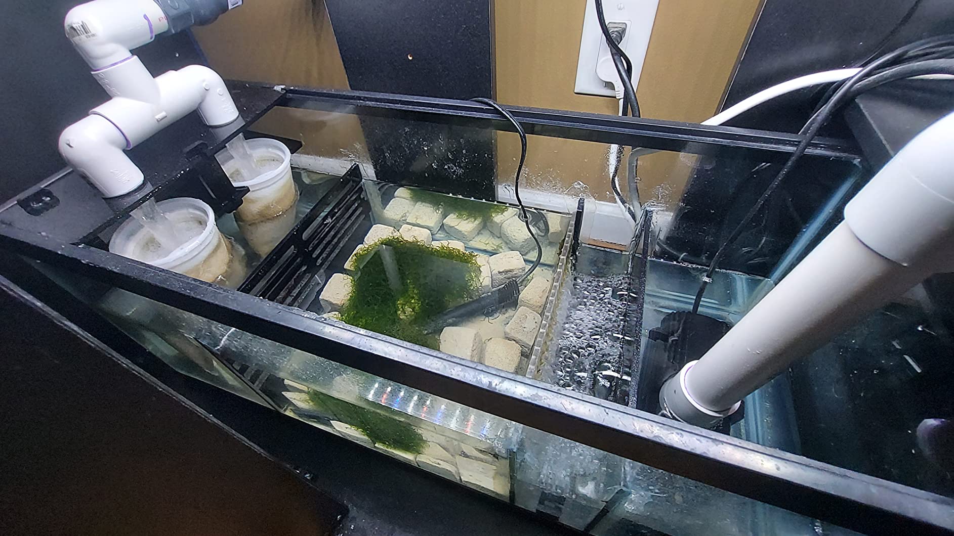 LYL LEYOULAND Adjustable Sump Baffle Kit - Refugium Kit for 20 Gallon Long Tank - Reef Aquarium - Saltwater Aquarium Filter System- Protein Skimmer Sump customer photo 1