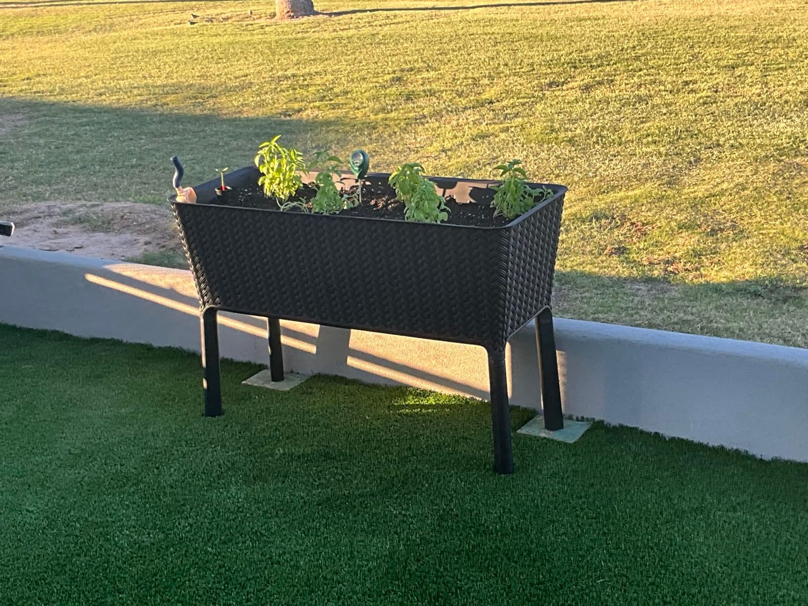 Keter Splendor 31.7 Gallon Raised Garden Bed with Self Watering Planter Box and Drainage Plug - Perfect for Growing Fresh Vegetables, Flowers and Herbs, Brown customer photo 2
