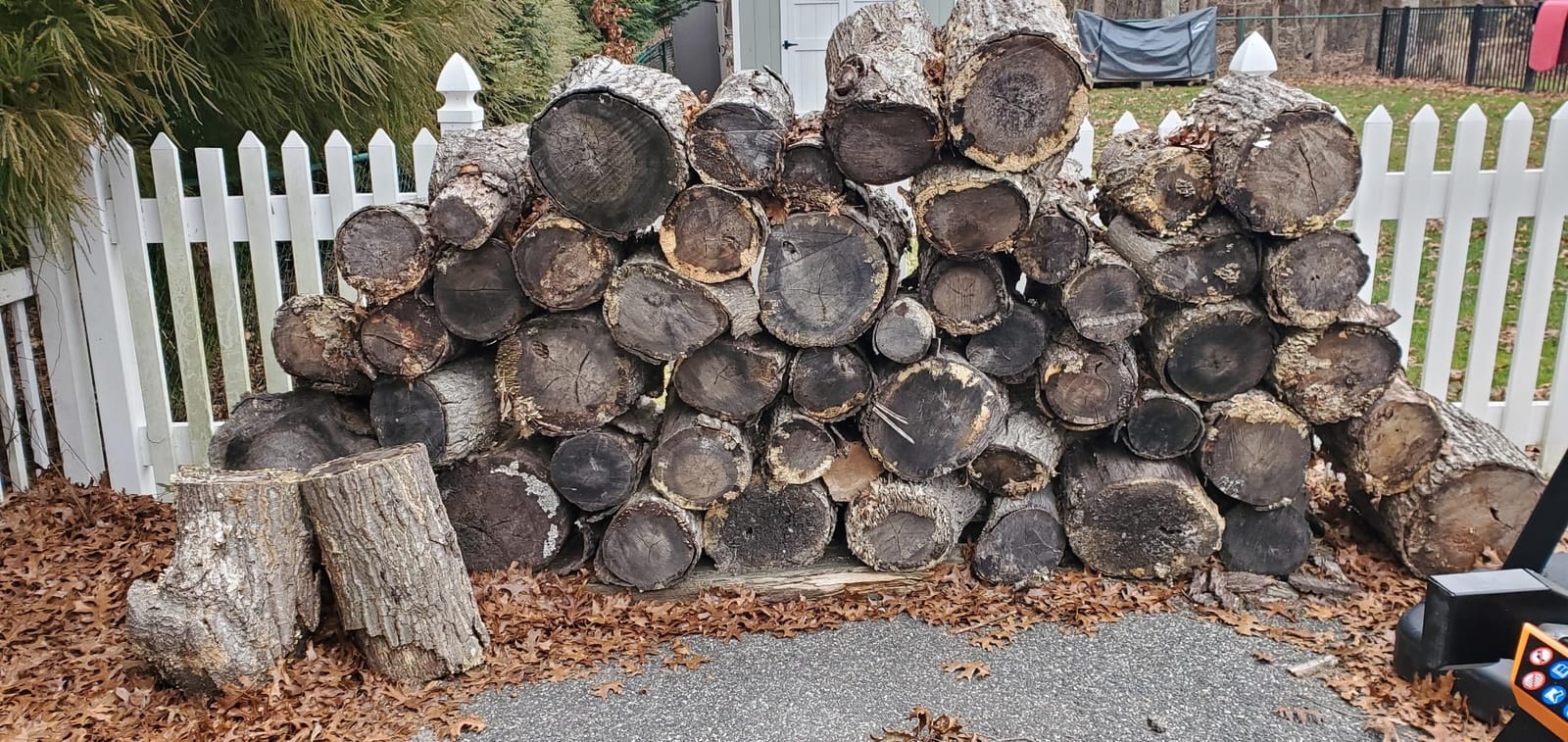 WEN Electric Log Splitter, 6.5-Ton Capacity with Portable Stand (56208) customer photo 1