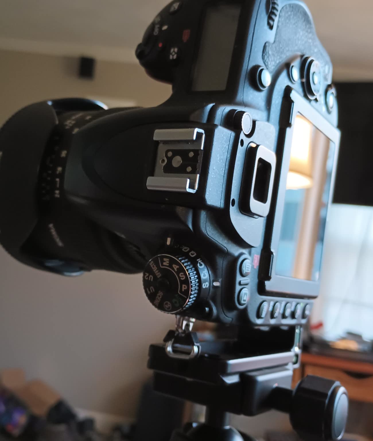 SUNWAYFOTO DPL-09 L Bracket for DSLR Arca Swiss Tripod Quick Release QR L Plate Camera Mount Accessory customer photo 1