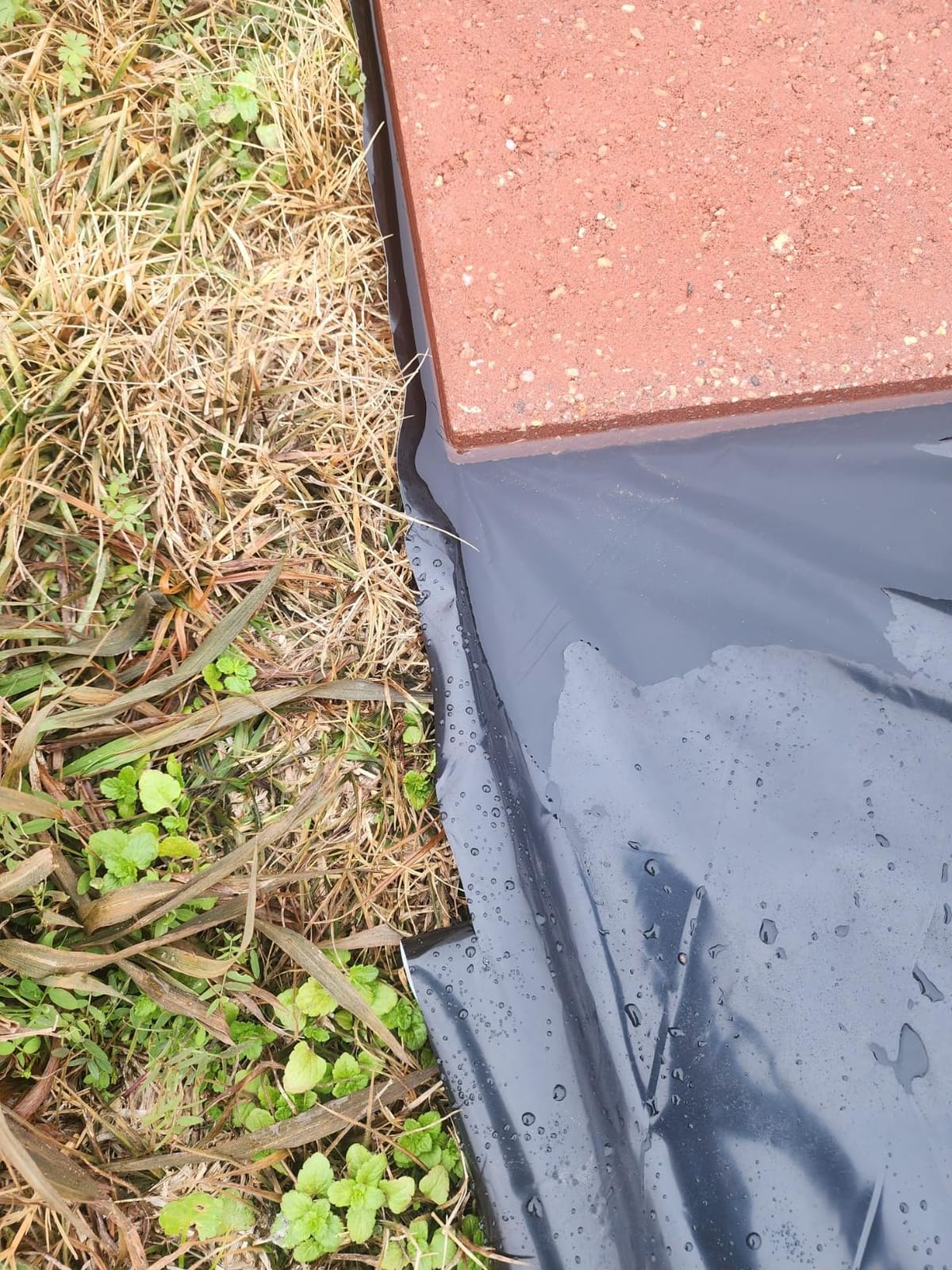 Farm Plastic Supply - Silage Tarp Black/White Plastic Sheeting - 5 Mil (50' x 10') - Heavy Duty Polyethylene Plastic Tarp for Silage Cover, Bunker Cover for Farming, Agriculture, Ground Covering customer photo 2