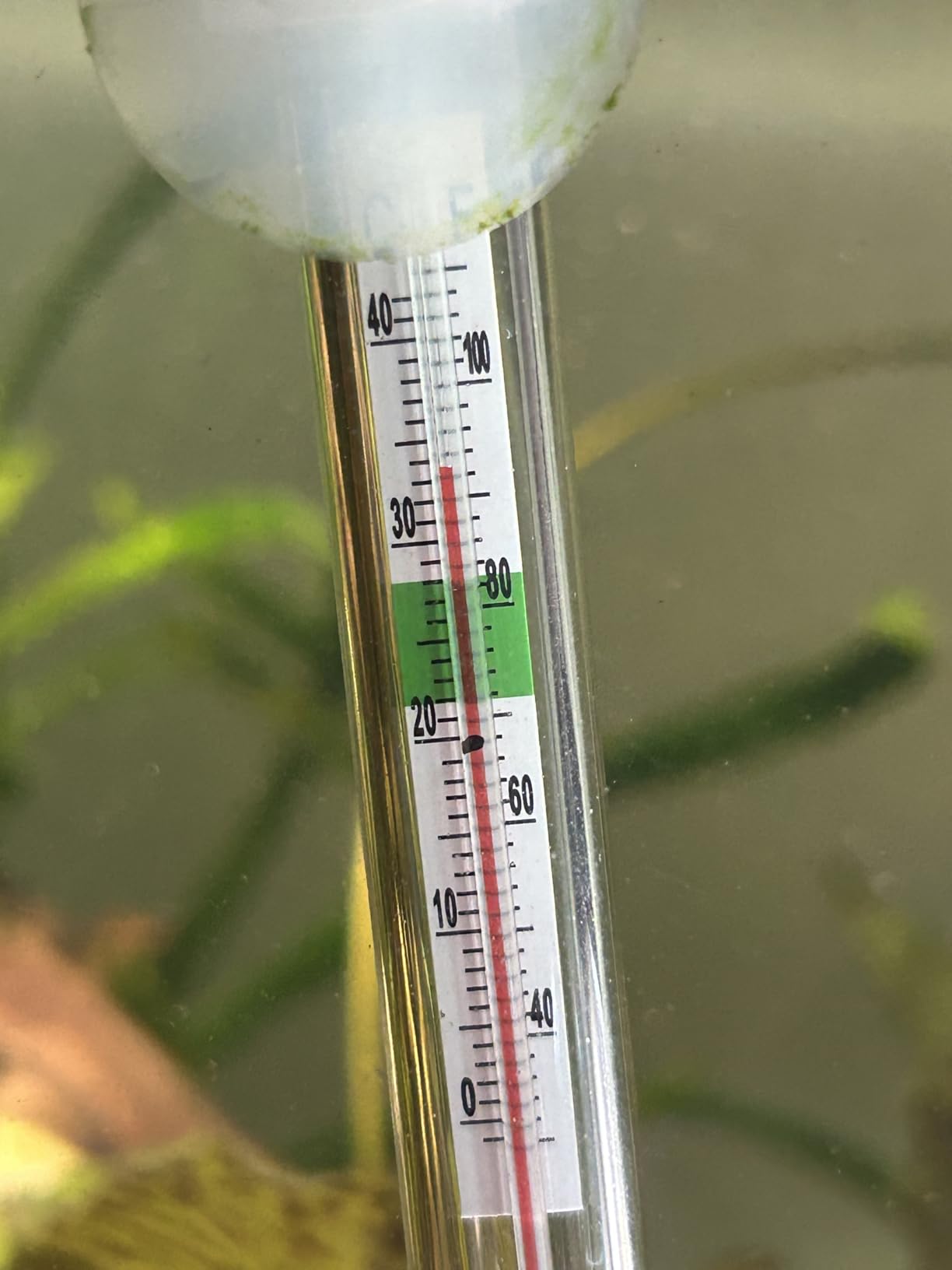 HITOP Compact Submersible Aquarium Heater - 100W Digital Heater for Fish Tank Turtle Tank, for Saltwater and Fresh Water with Temperature Controller customer photo 1
